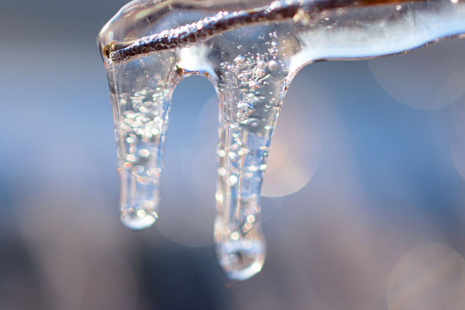 Melting icicles dripping with water droplets captured against a blue winter sky.