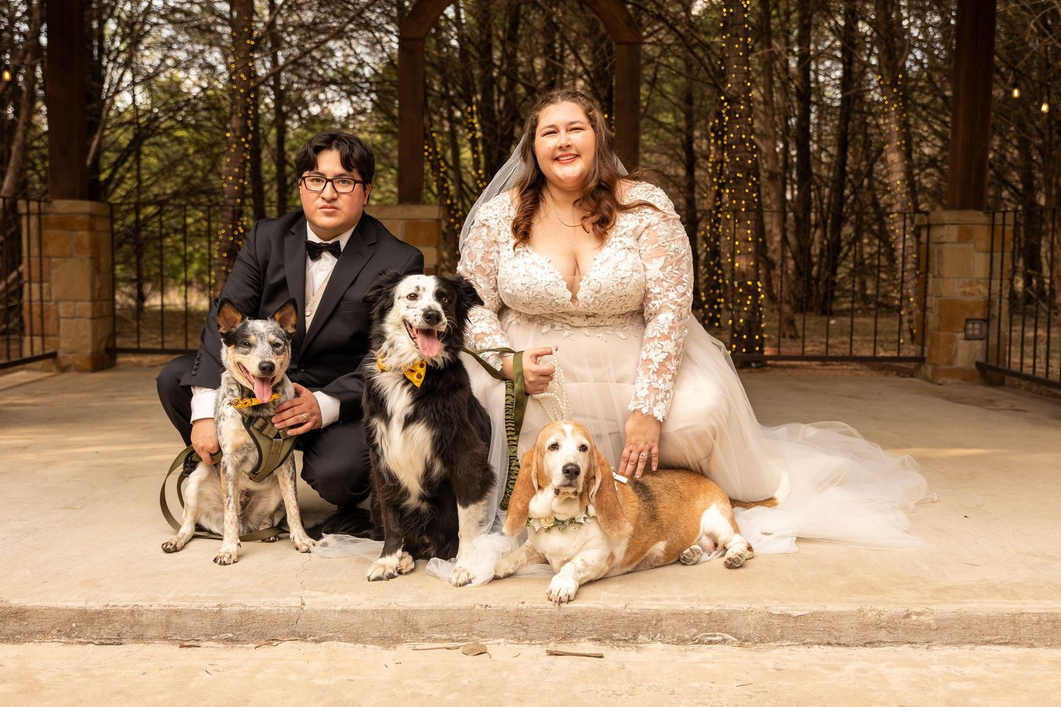 Wedding couple posing with their dogs for family portraits in outdoor setting.