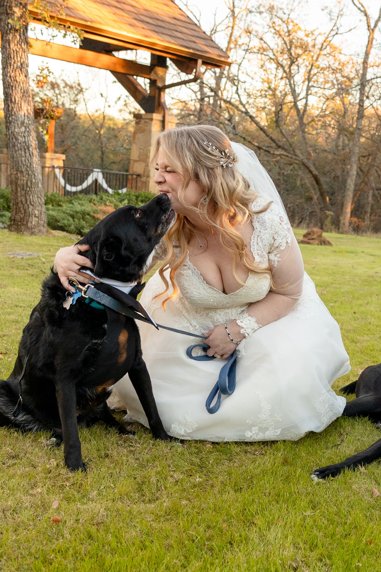 A bride in a white dress sits on grass with a black dog during an outdoor wedding photoshoot.