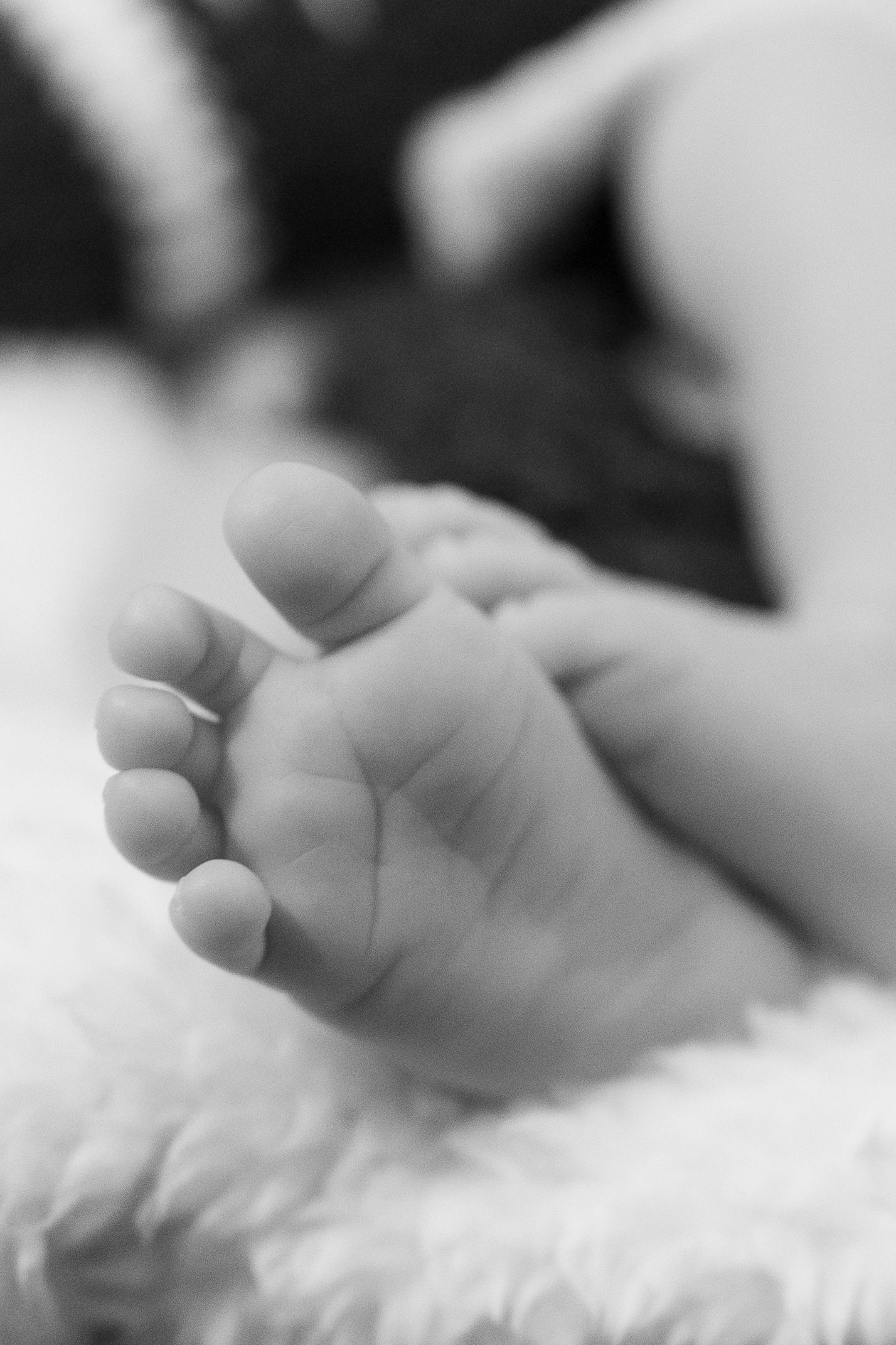 Close-up black and white image of tiny baby feet against a soft white background.