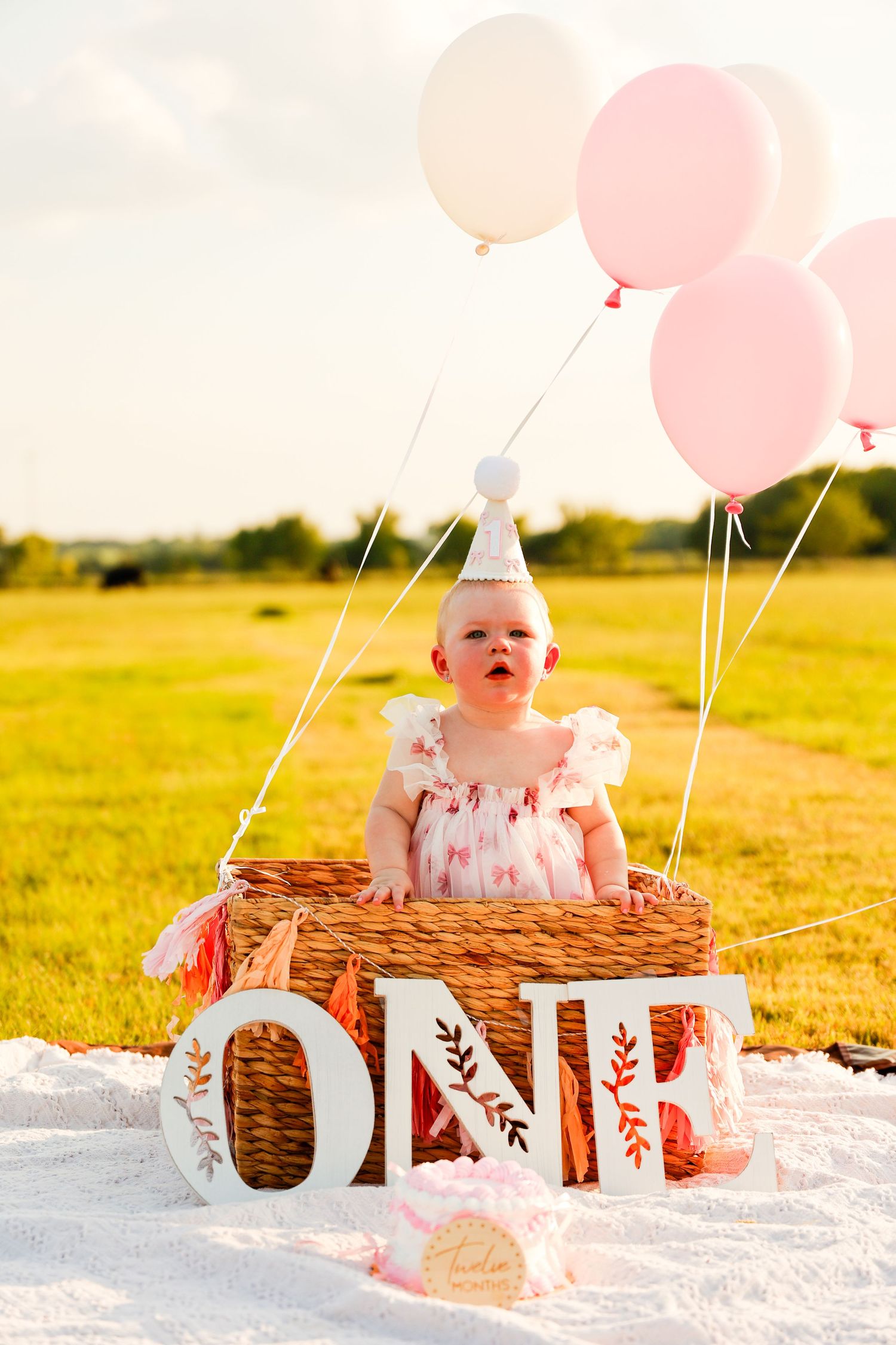 A baby in a white dress sits in a wicker basket with pink balloons for first birthday photos.