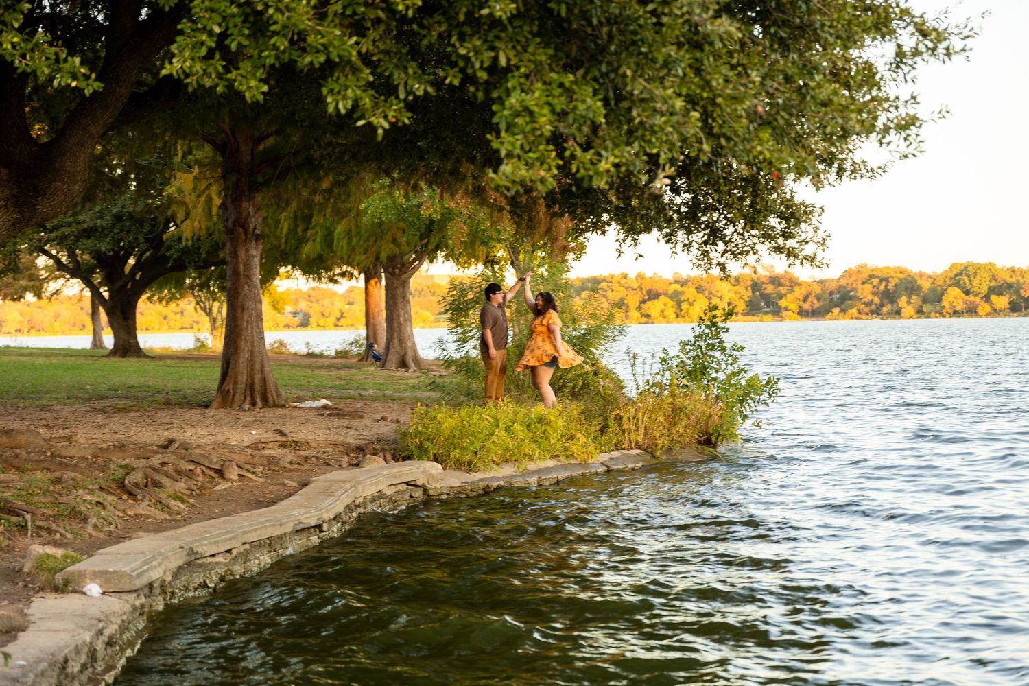 Scenic waterfront view with trees and shoreline during golden hour.