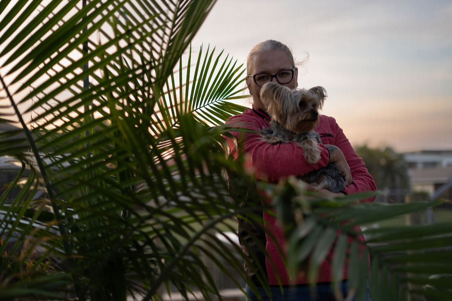 woman with glasses holding a small Yorkshire Terrier dog near tropical palm fronds at sunset.