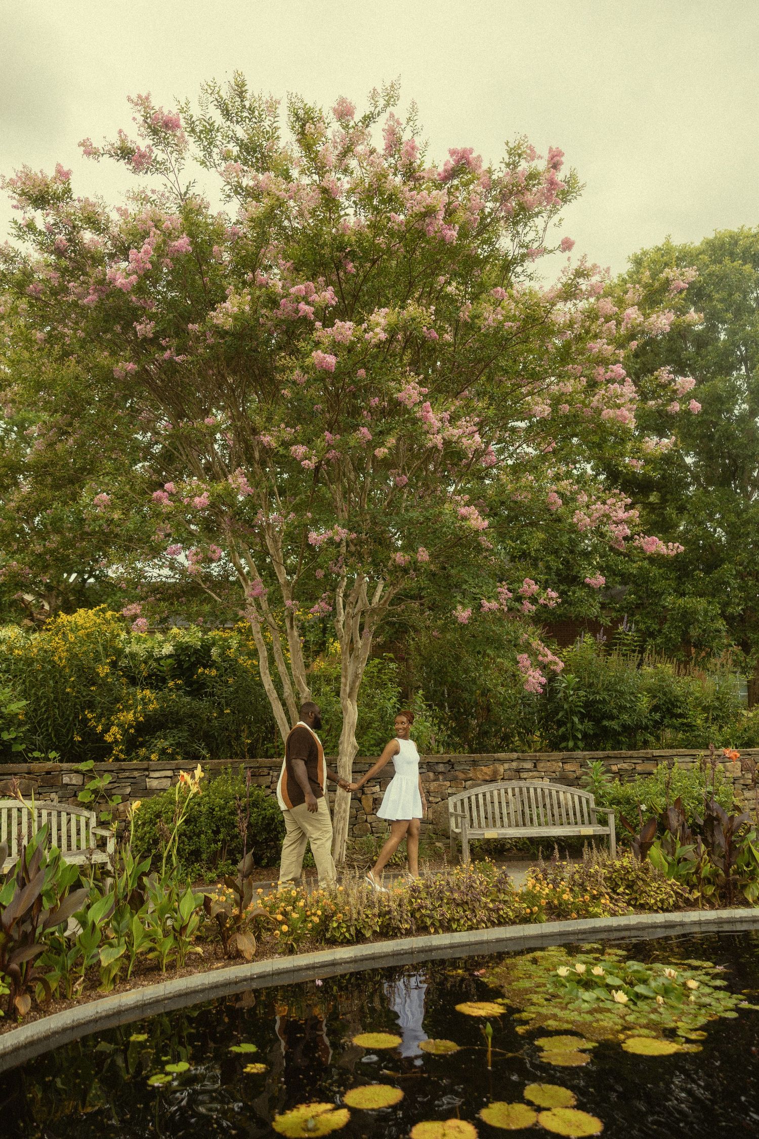 Couple holding hands by a blooming pink crape myrtle tree beside a lily pond in a lush garden.