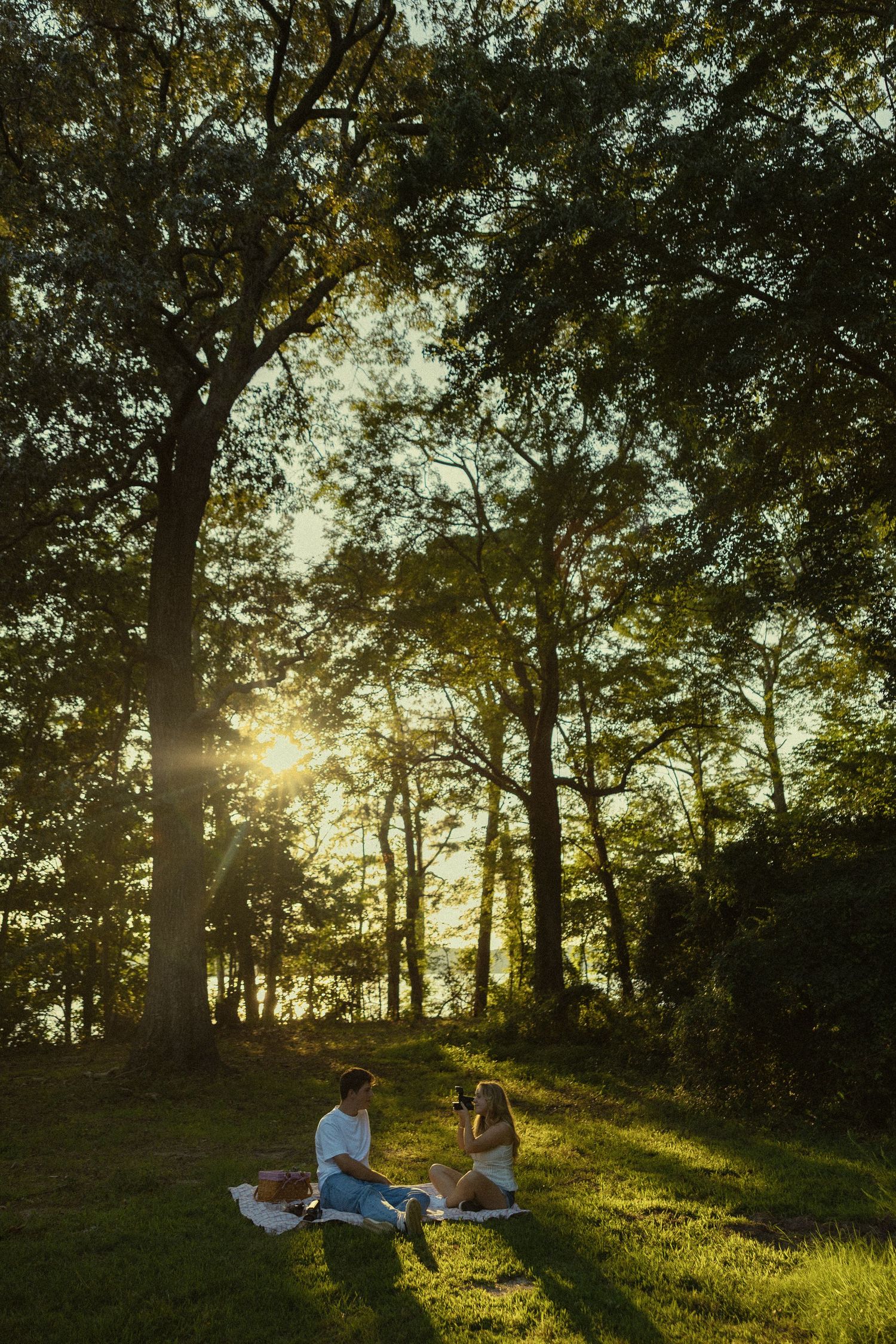 Couple enjoying a golden hour picnic on a grassy hill surrounded by tall trees with sunlight streaming through the leaves.