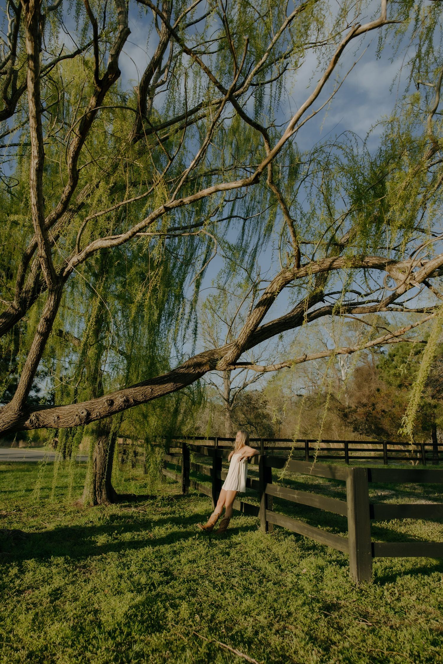 A woman in a white dress leans against a wooden fence beneath a sprawling weeping willow tree.