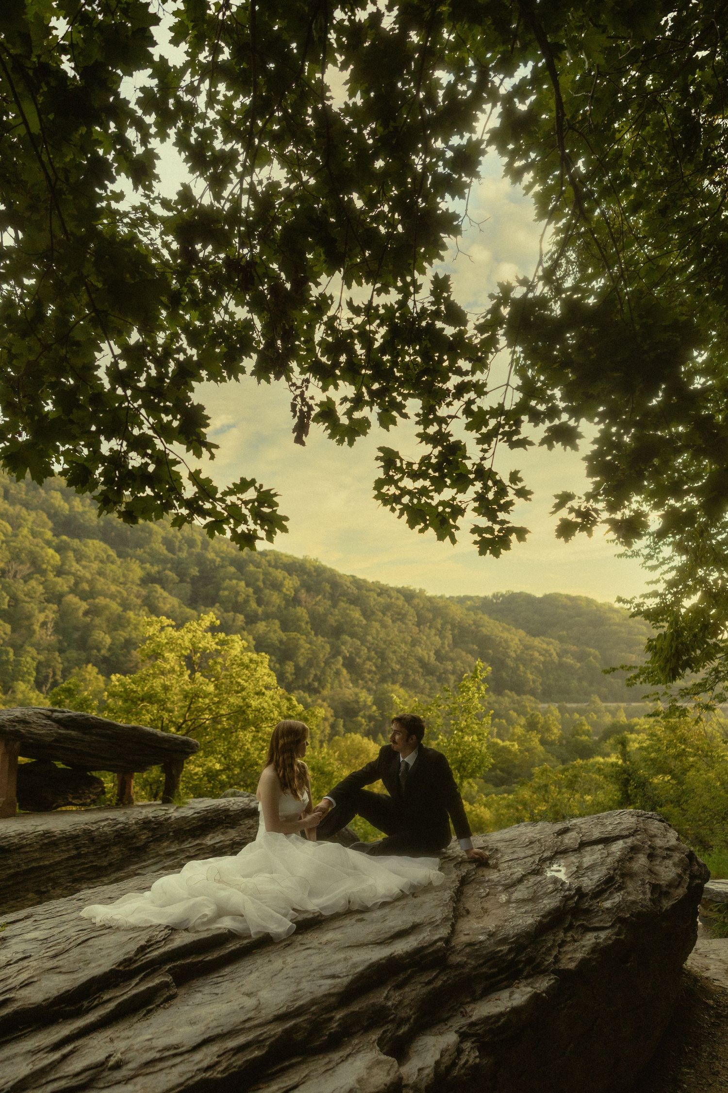 Bride and groom sit on a fallen log under lush trees with rolling green hills at sunset.