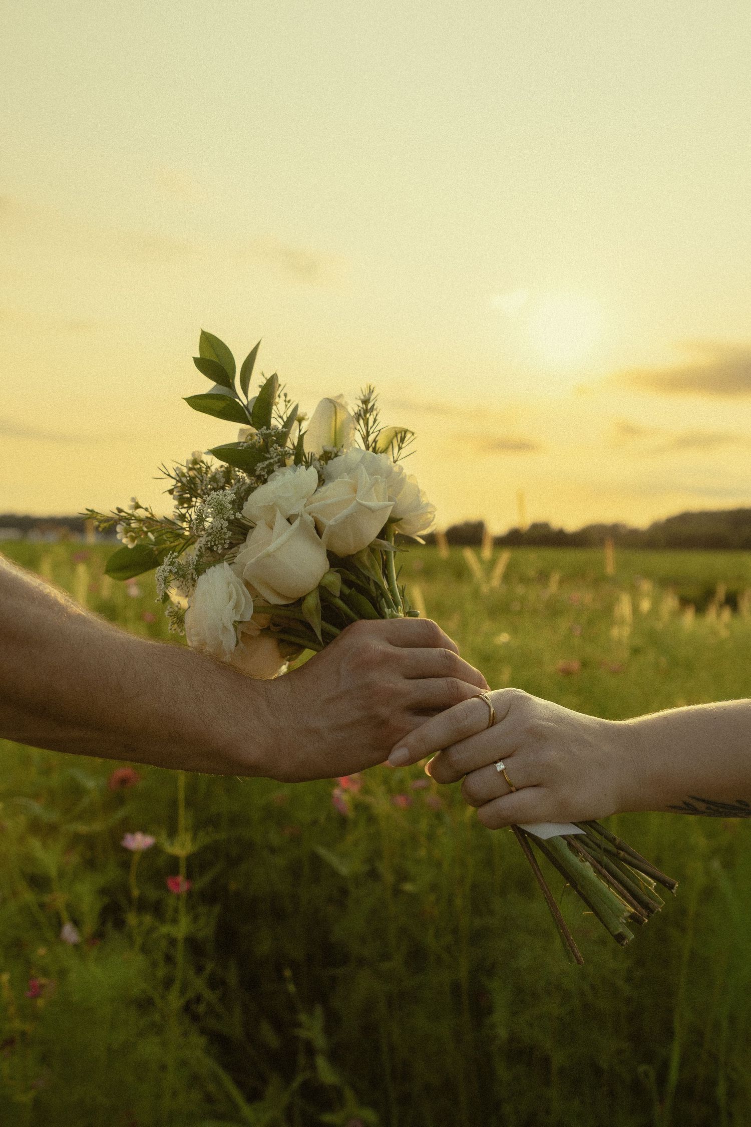 Two hands exchanging a white rose bouquet in a golden sunset field, with a diamond ring visible on one hand.