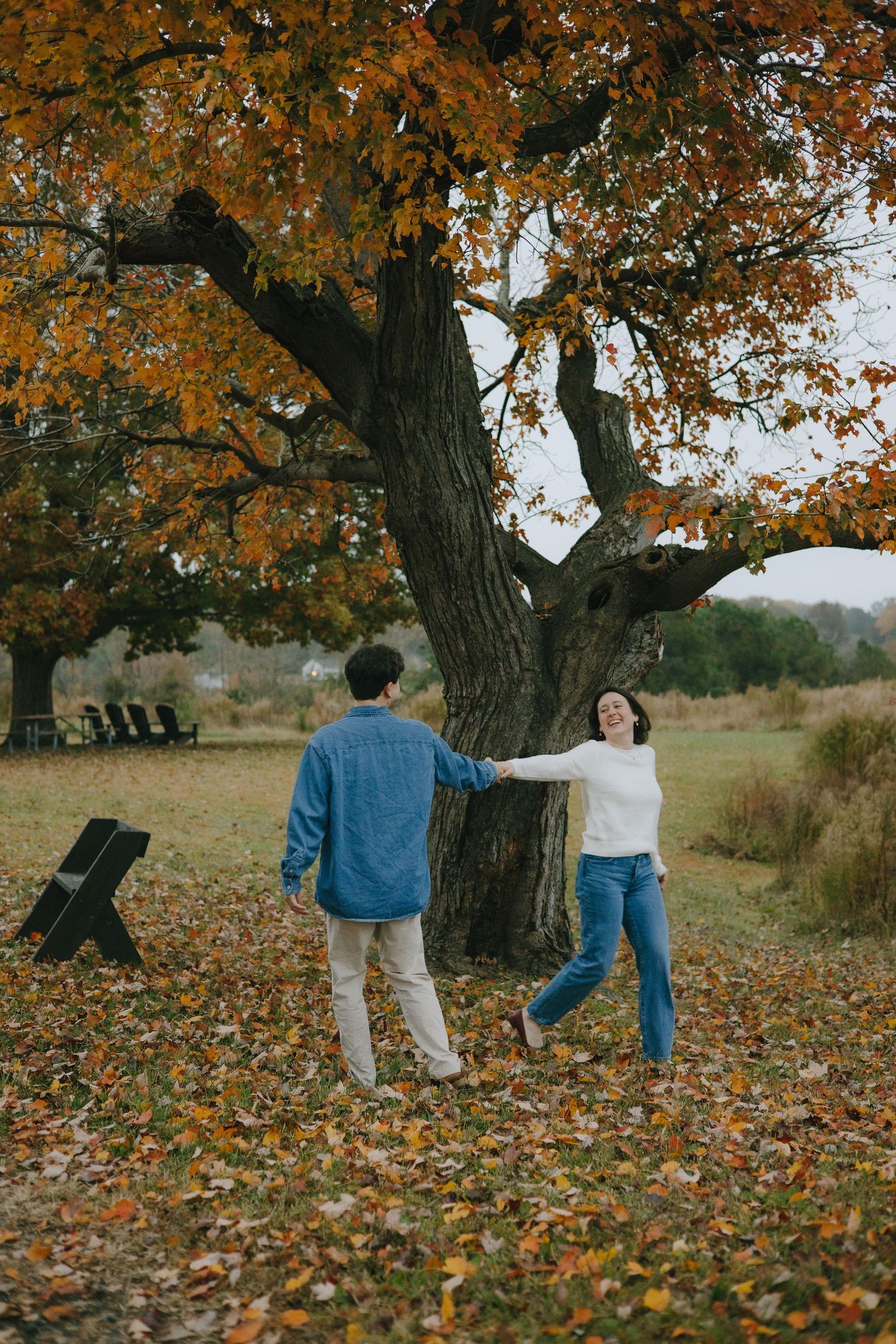 Sequence of a couple walking and playing among fall leaves under large trees.