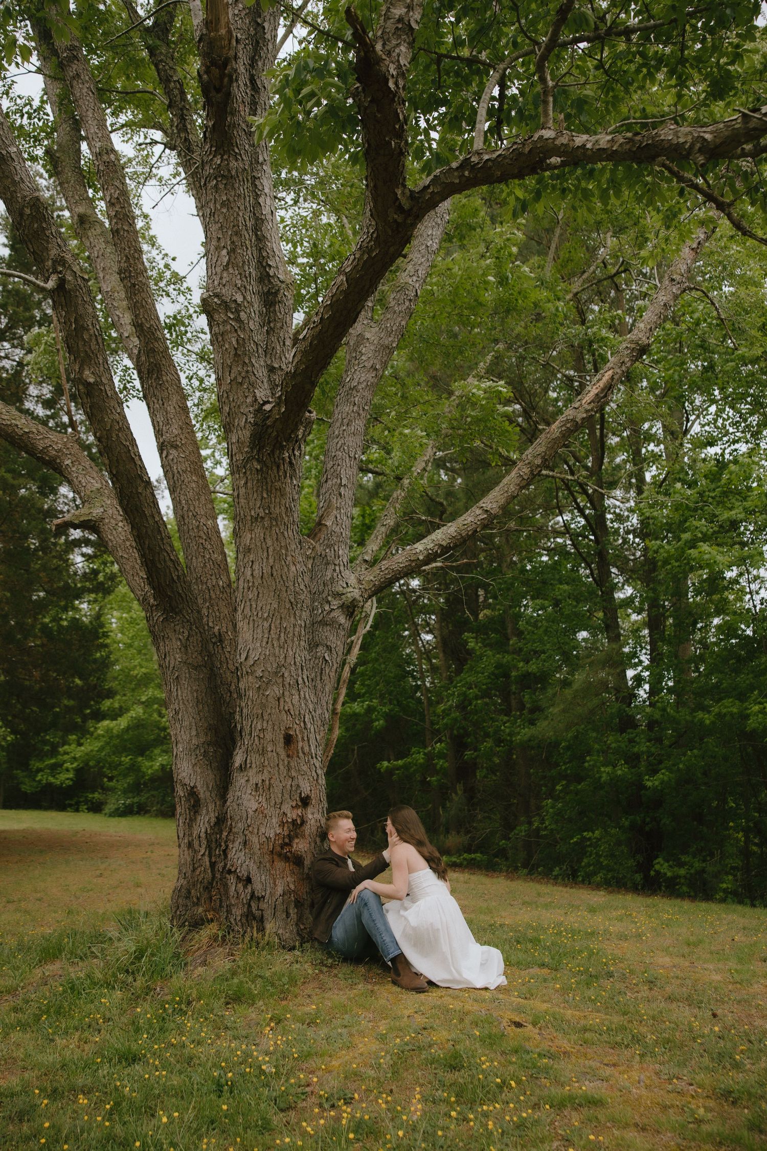 Bride and groom sitting together under a large tree in a green meadow during their outdoor wedding.