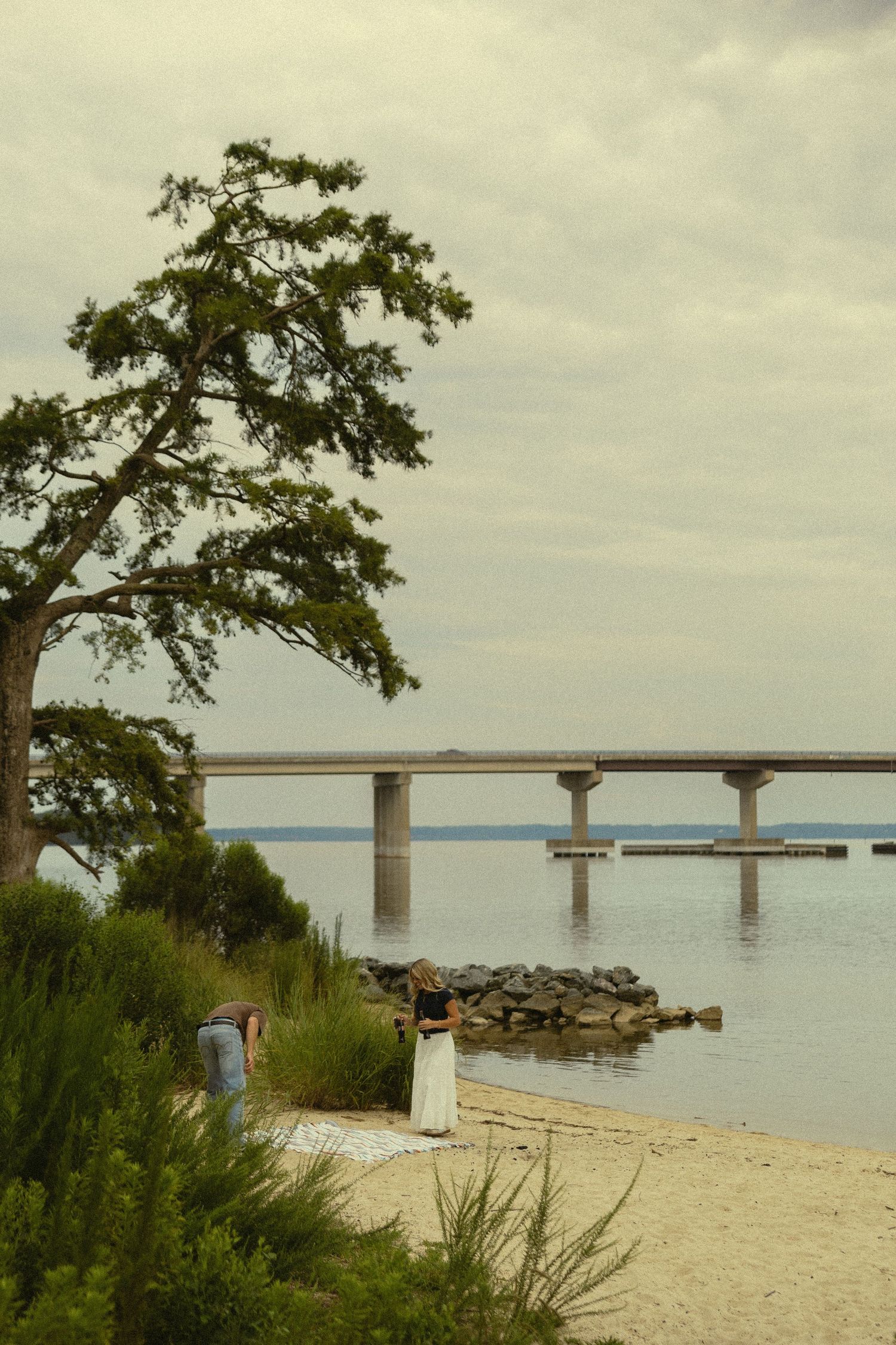 Sandy shoreline with a large green tree beside calm water and a concrete bridge stretching across the horizon under cloudy skies.