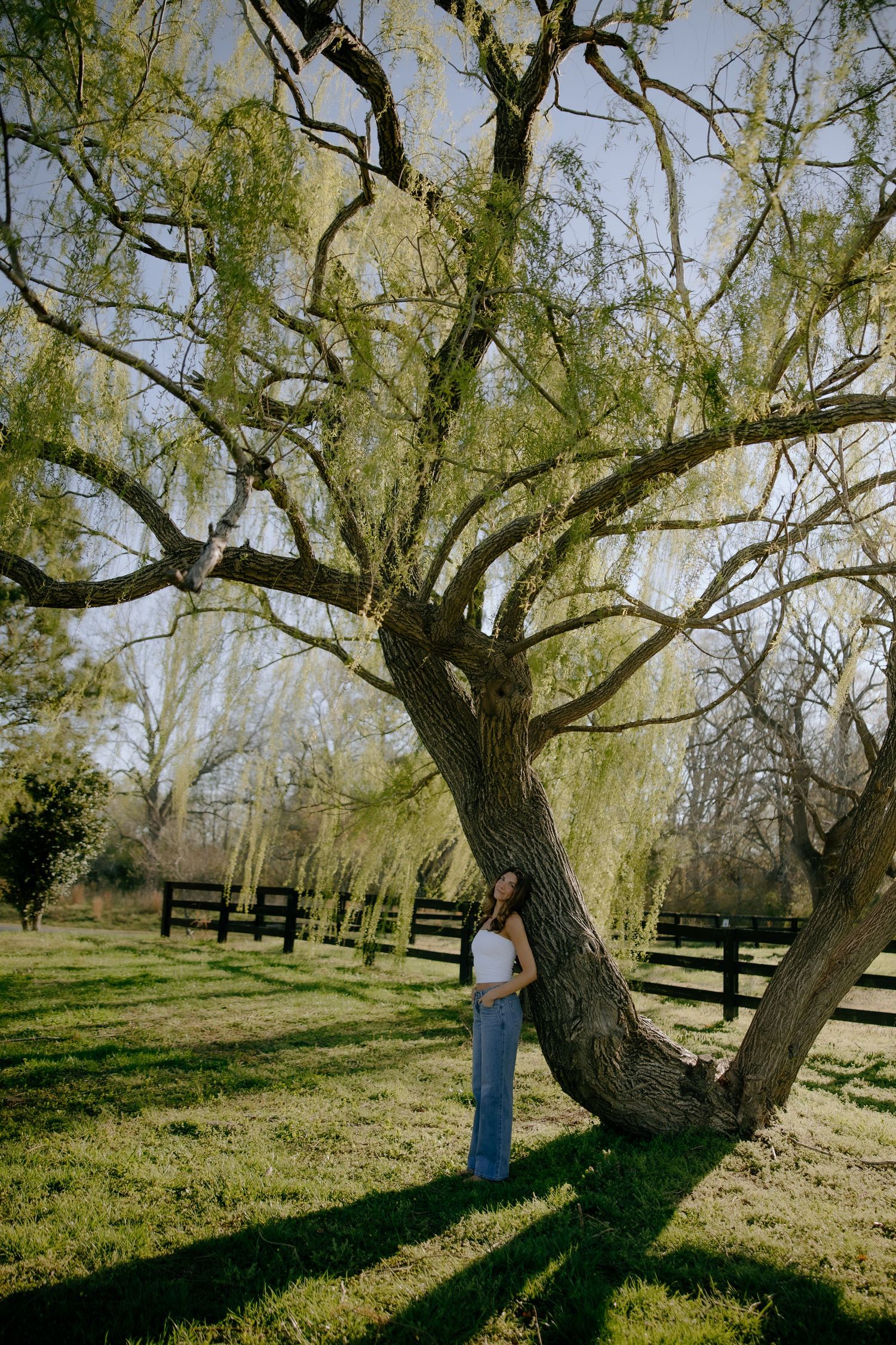 Woman in white top and jeans leaning against a large willow tree in a sunny green pasture with wooden fence.
