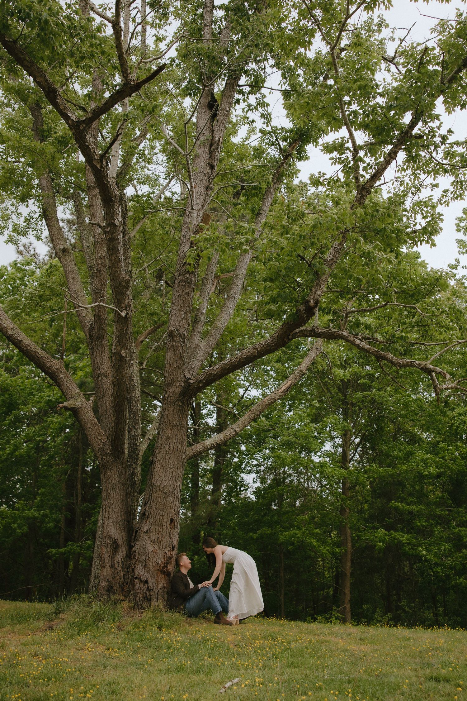 Couple sitting under a large oak tree on a green grassy hill, woman in white dress leaning toward seated partner.