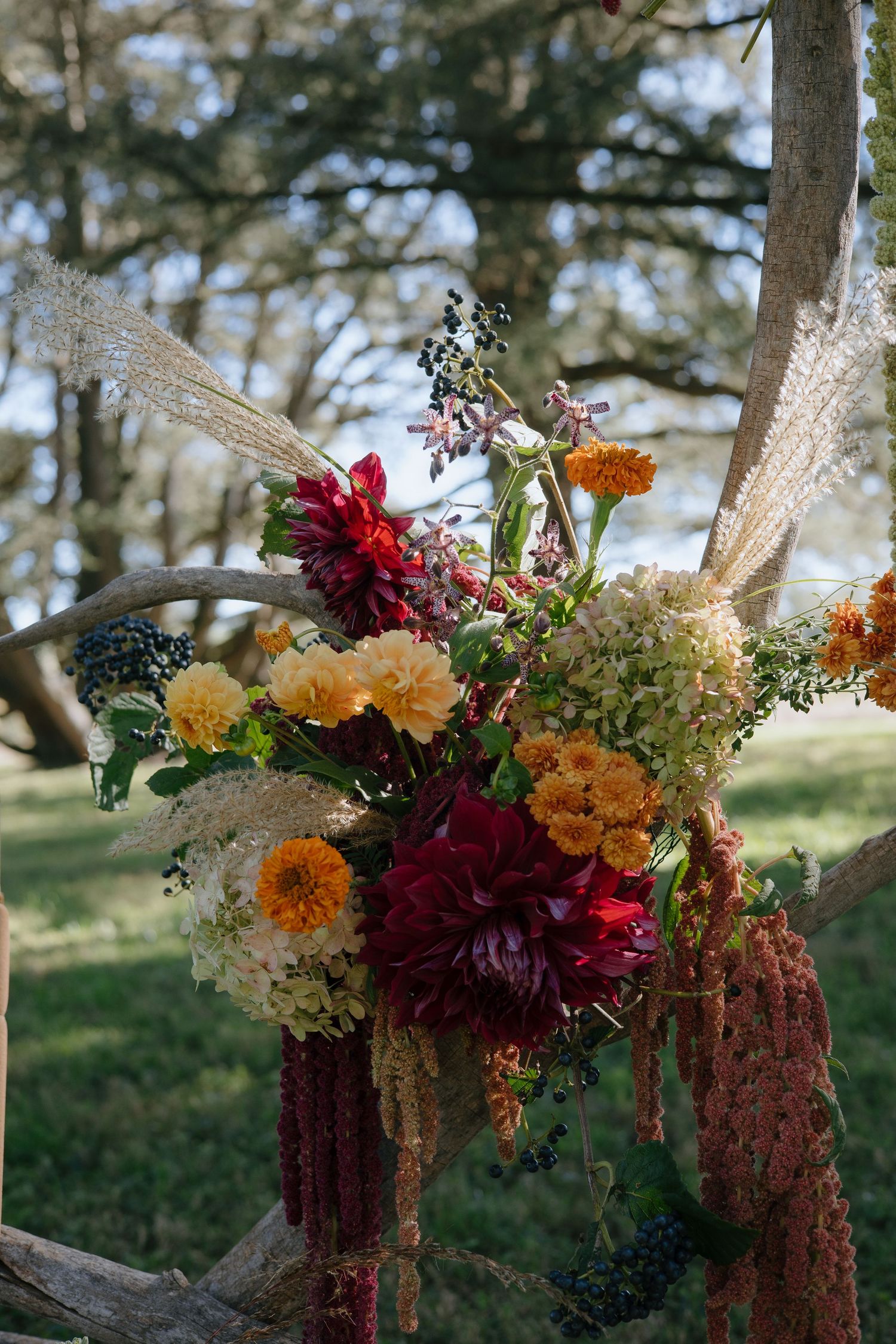 Rustic floral arrangements with burgundy dahlias, orange marigolds and dried grasses adorn an outdoor wedding ceremony space.