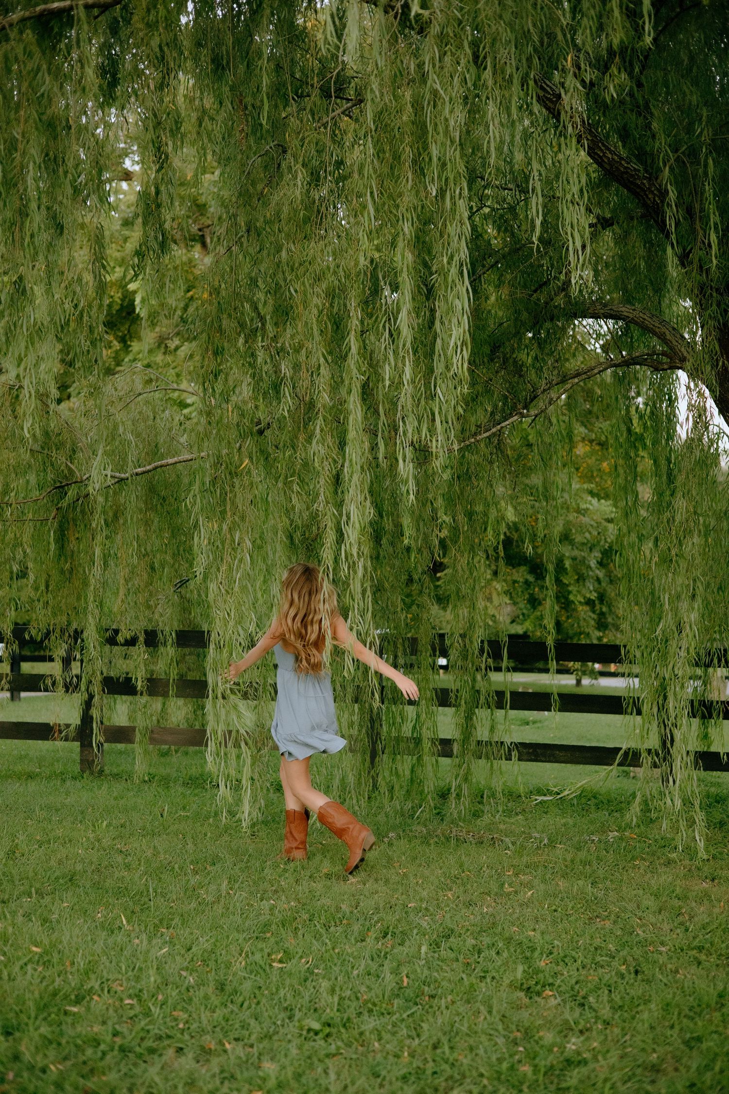 A playful sequence of a dog leaping and jumping through the air under drooping willow tree branches in a grassy park.
