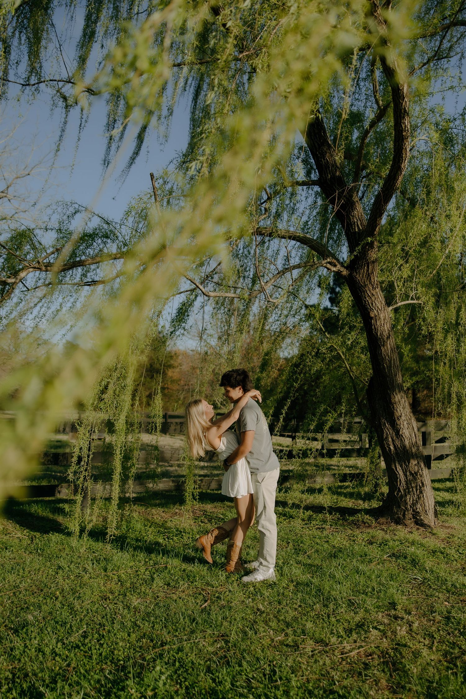 Couple sharing a romantic embrace under a weeping willow tree on a sunny day in a lush green park.