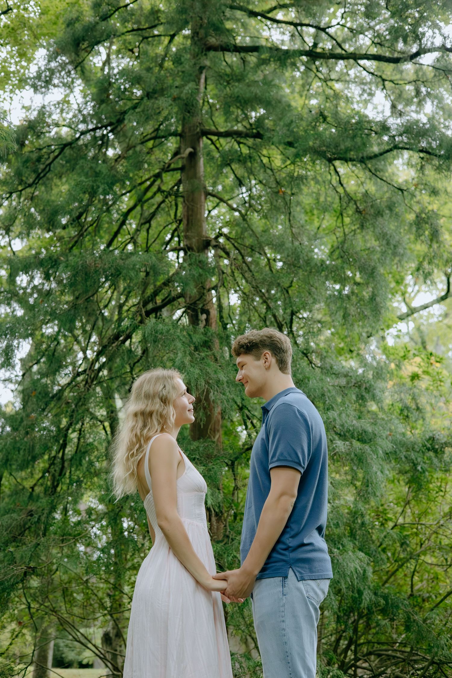 A couple holding hands under a towering evergreen tree in a romantic outdoor setting.