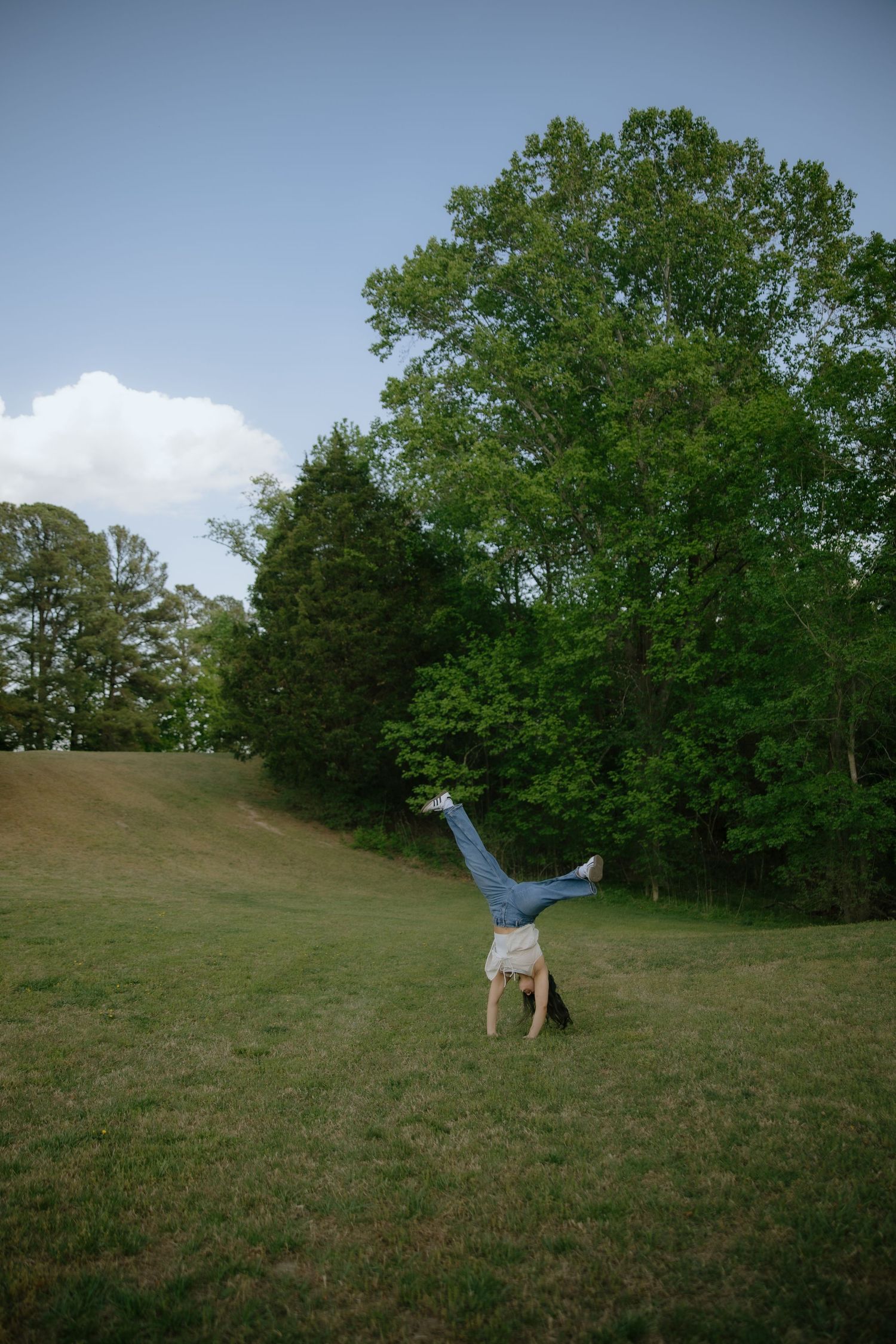 Person doing a handstand on green grass field with lush trees and blue sky in the background.