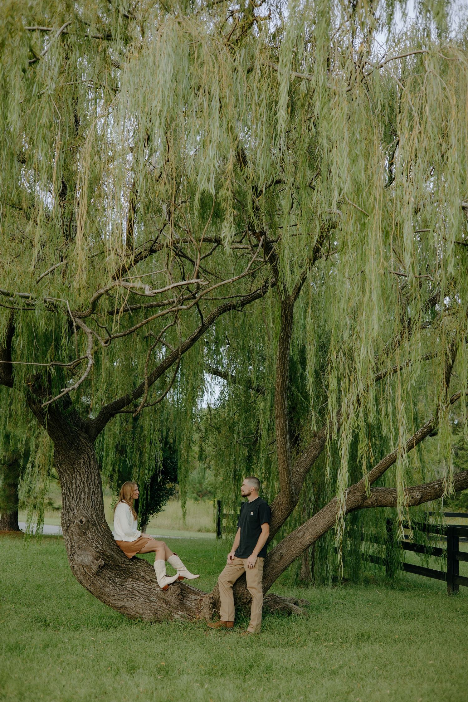 couple sitting in willow tree for engagement photoshoot in gloucster, va shot by virginia wedding  and couples photographer