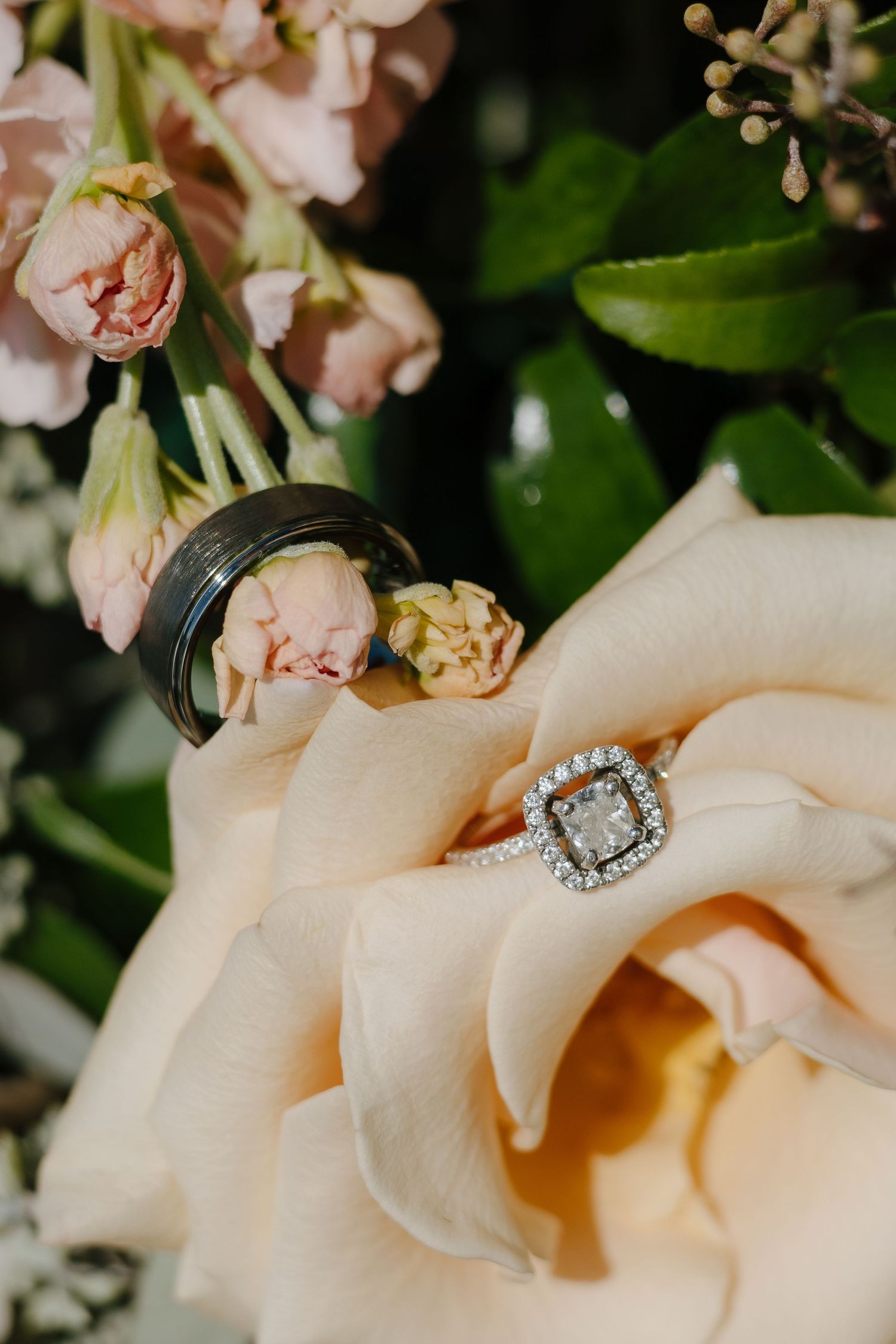 Wedding rings nestled in delicate pink roses and a stunning diamond engagement ring on display.