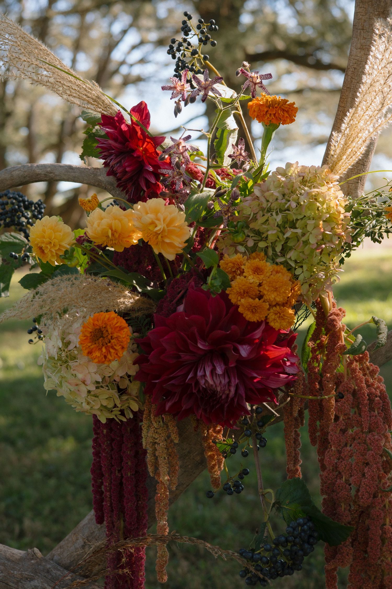 A vibrant fall floral arrangement with burgundy dahlias, yellow marigolds, and pampas grass against a blurred outdoor background.