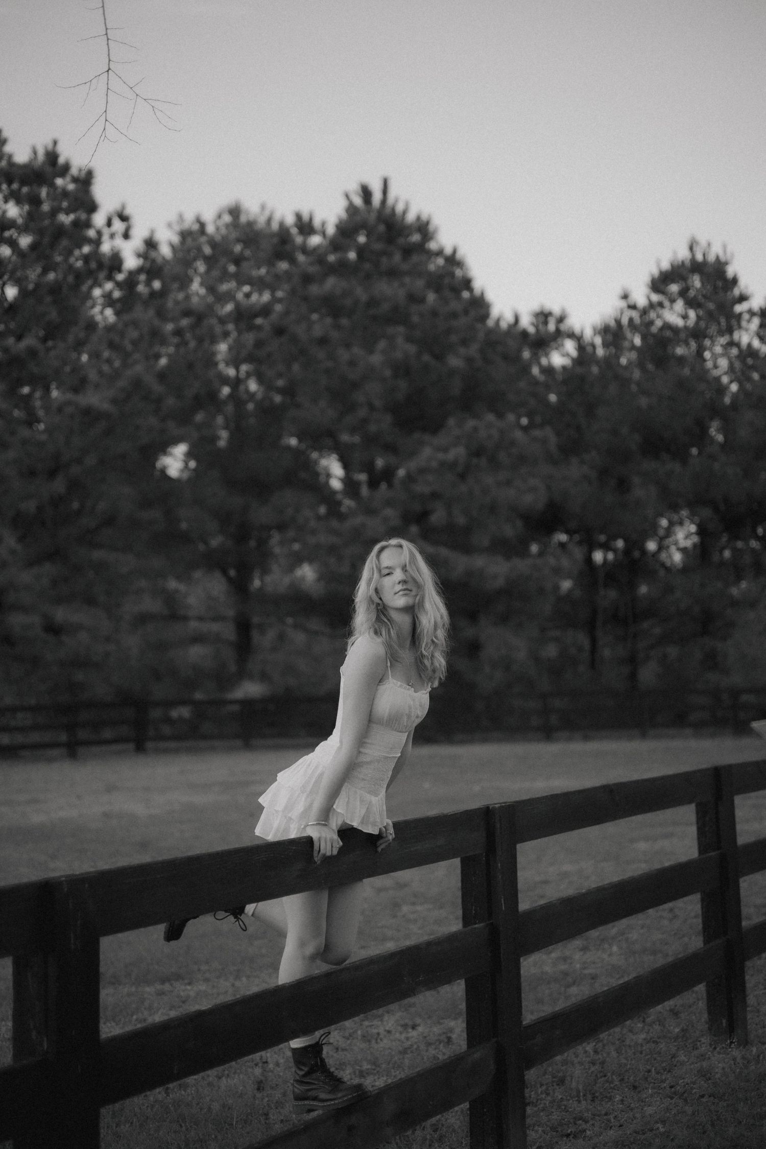 A person in a white dress leans against a dark wooden fence in a pastoral outdoor setting at dusk.