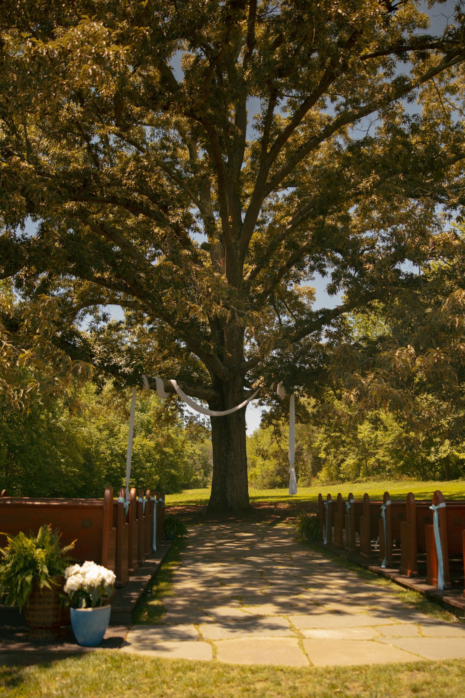 outdoor wooden pew ceremony at Avonlea Farms in Mineral, VA. Virginia Wedding photographer. wedding details. wedding inspo. VA wedding venue