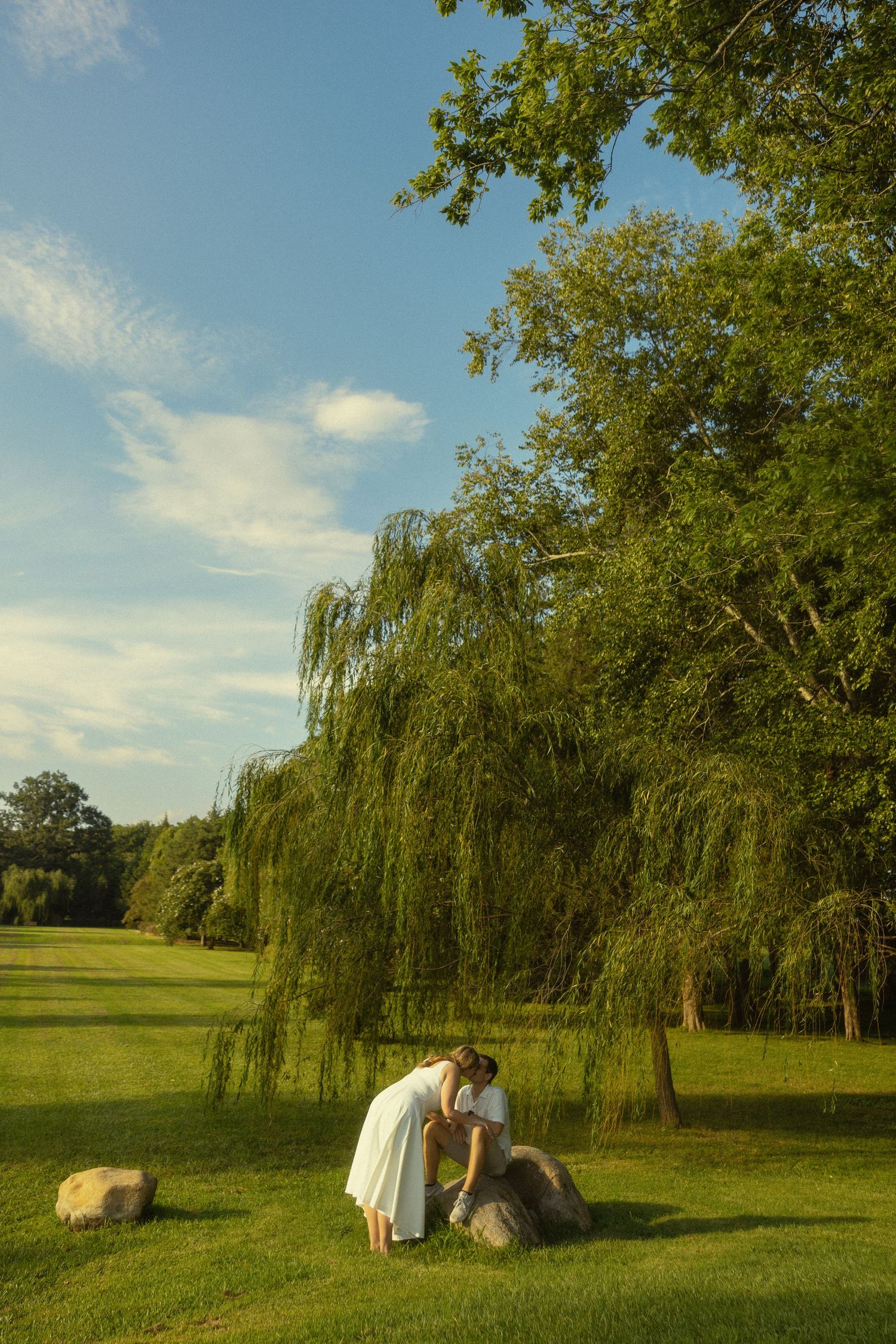 Couple sharing a romantic moment near a rock in a lush green park with willow trees under a blue sky.