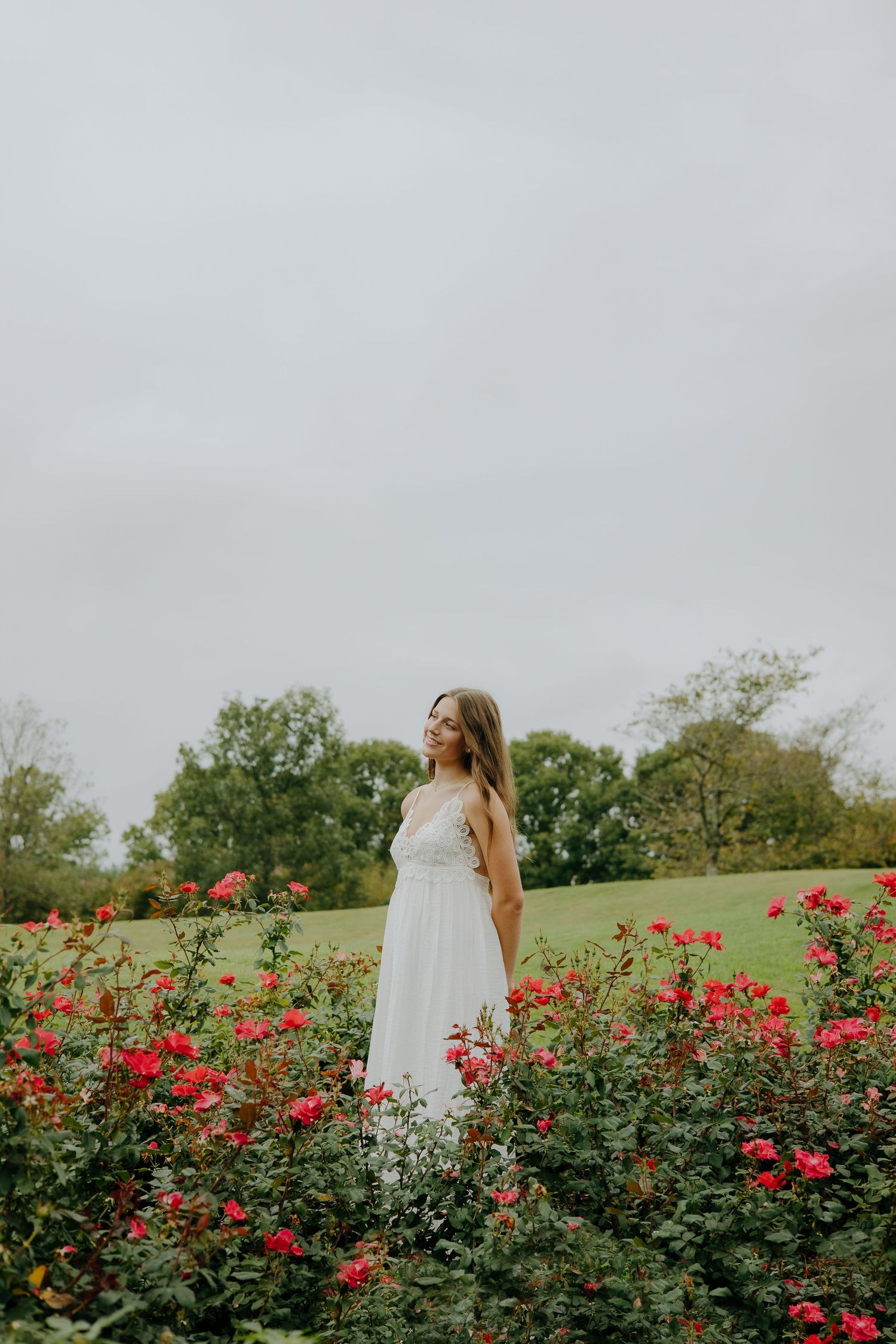 A white sundress contrasts beautifully against a backdrop of blooming red roses in a garden.