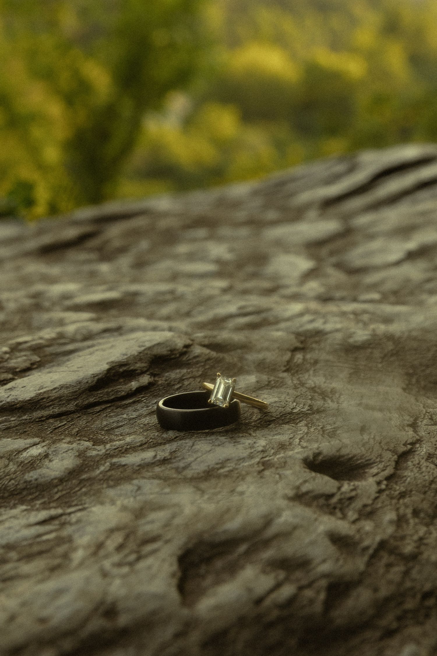 Two wedding rings resting on a textured rock surface with blurred green foliage in the background.