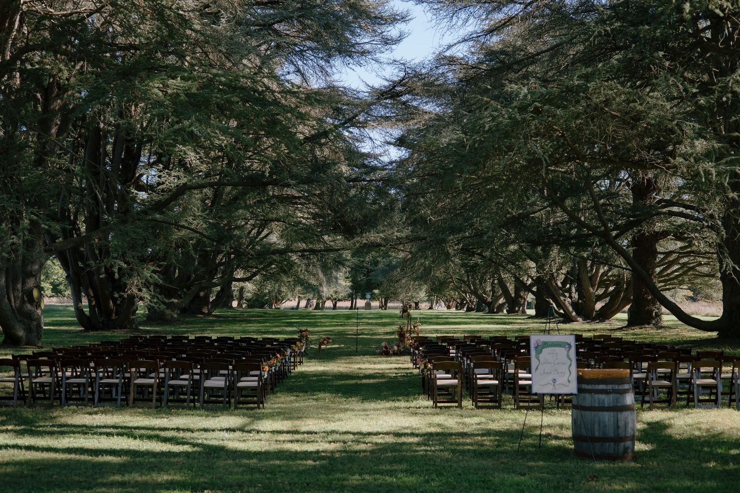 Rows of dark wooden chairs set up for an outdoor ceremony under towering trees on a lush green lawn.