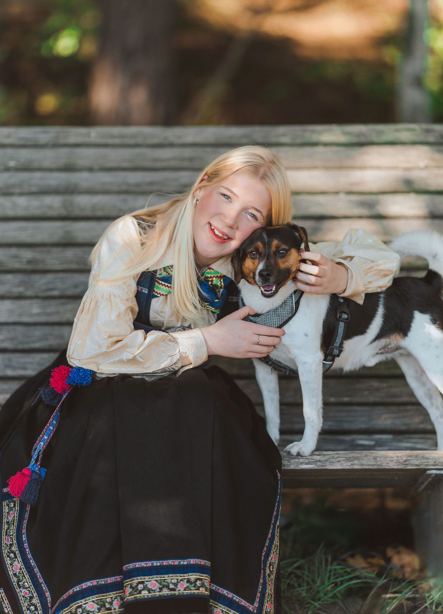 A sequence of photos showing a playful interaction between a person and a black and white dog on a wooden bench outdoors.