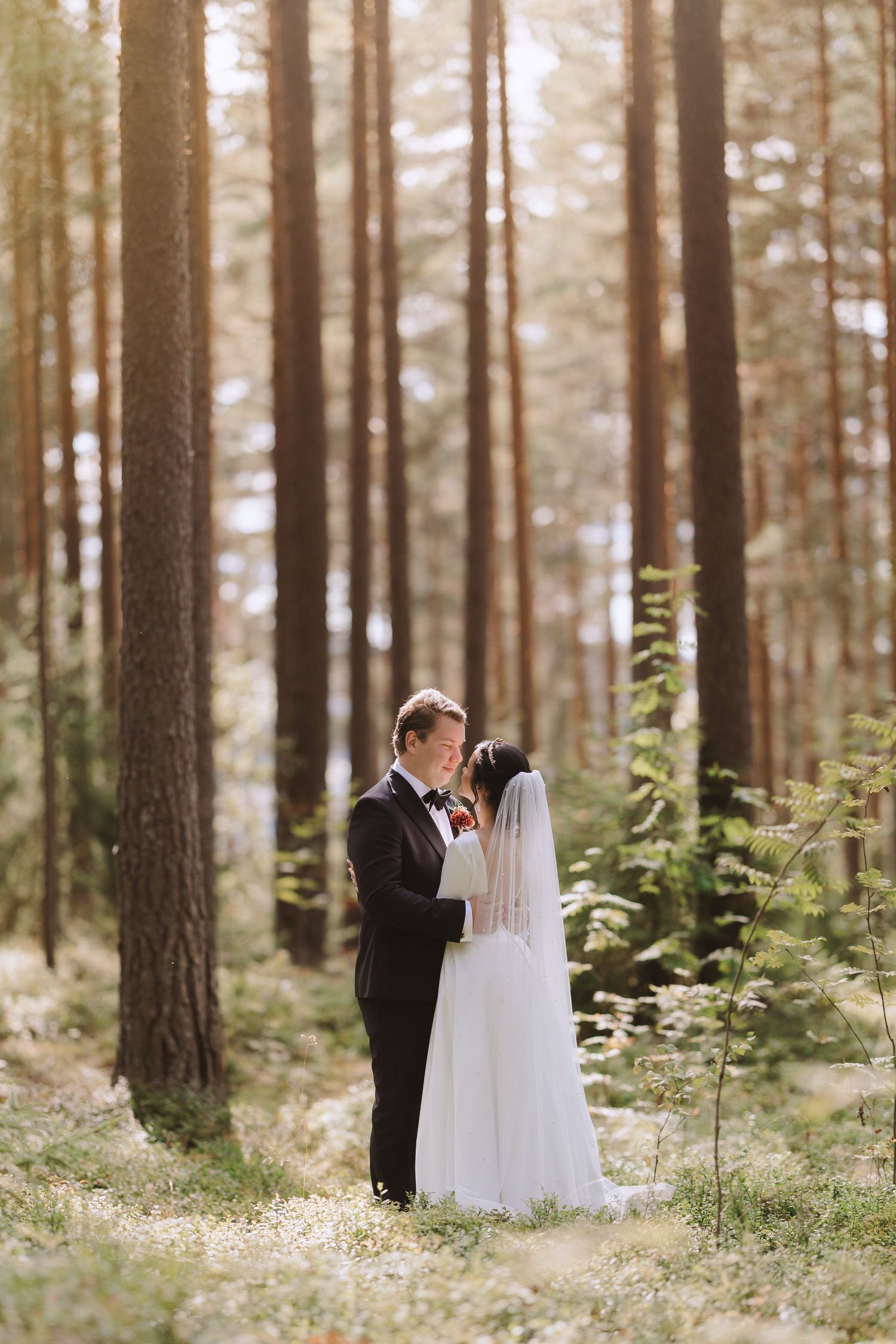 A romantic wedding couple embraces in a sunlit pine forest with soft light filtering through tall trees.