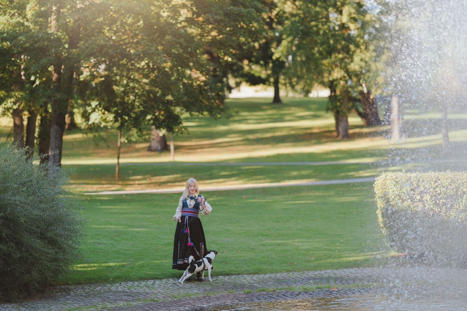 A park landscape with water fountains spraying in the background on a sunny day.