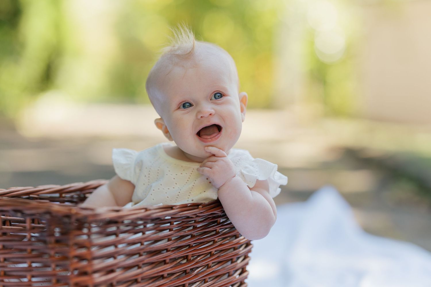 Baby in white dress sitting in woven basket outdoors with natural bokeh background.