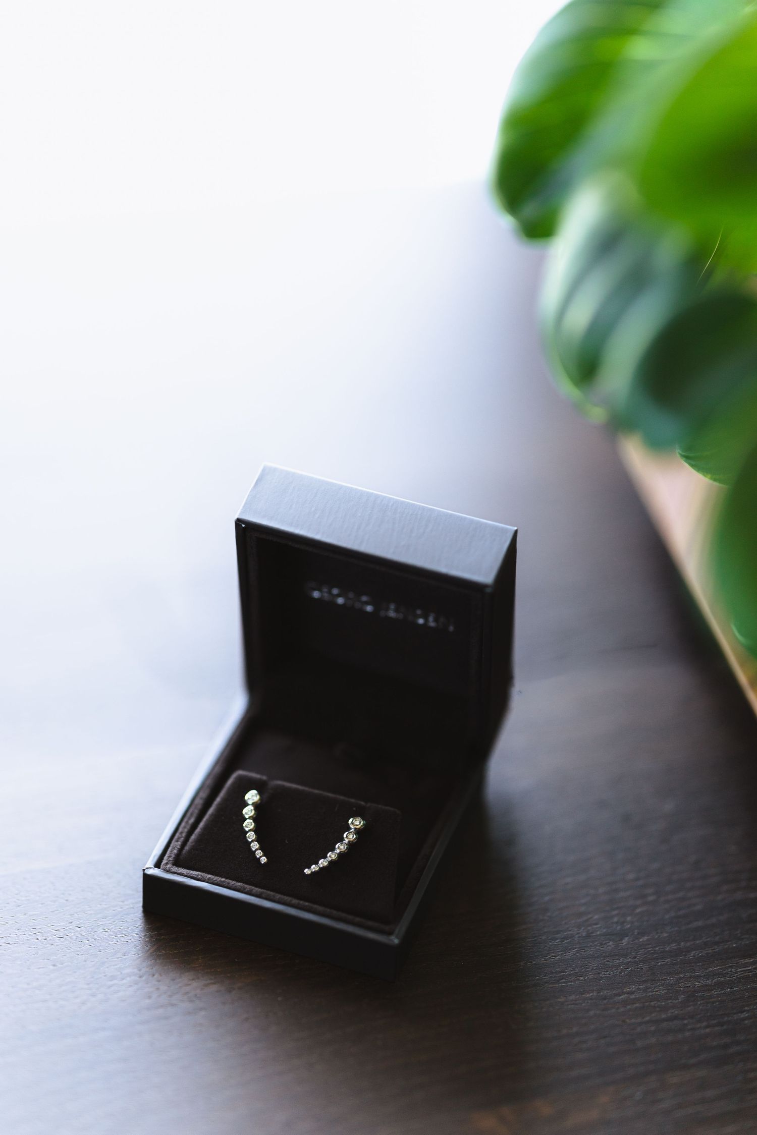 Three black jewelry boxes displaying delicate silver earrings arranged on a dark wooden surface with green foliage.