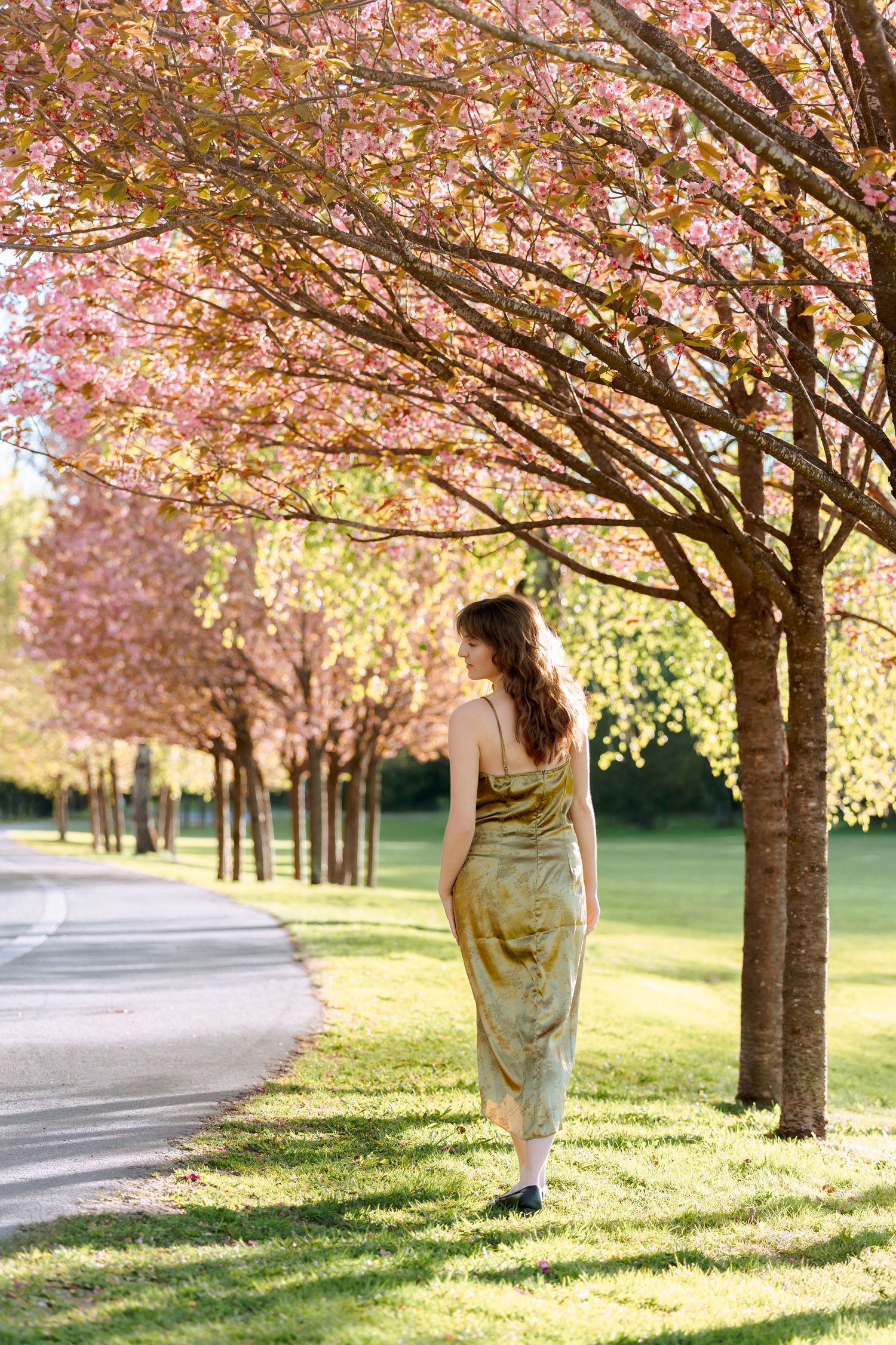 A woman in a floral dress walks beneath blooming cherry blossom trees along a peaceful park pathway.