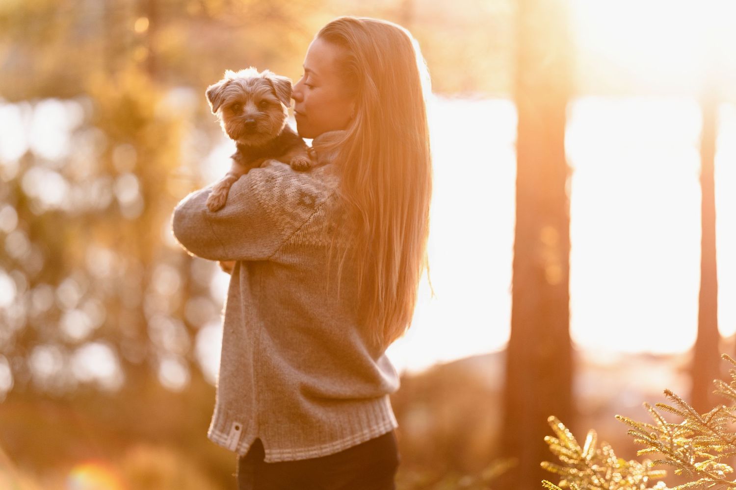 A couple walks their dog through a sunlit forest path during golden hour with sunbeams filtering through the trees.