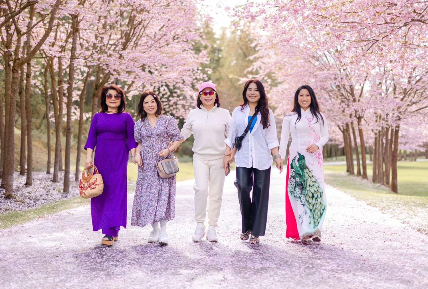 A group walks together beneath blooming cherry blossom trees on a spring day.