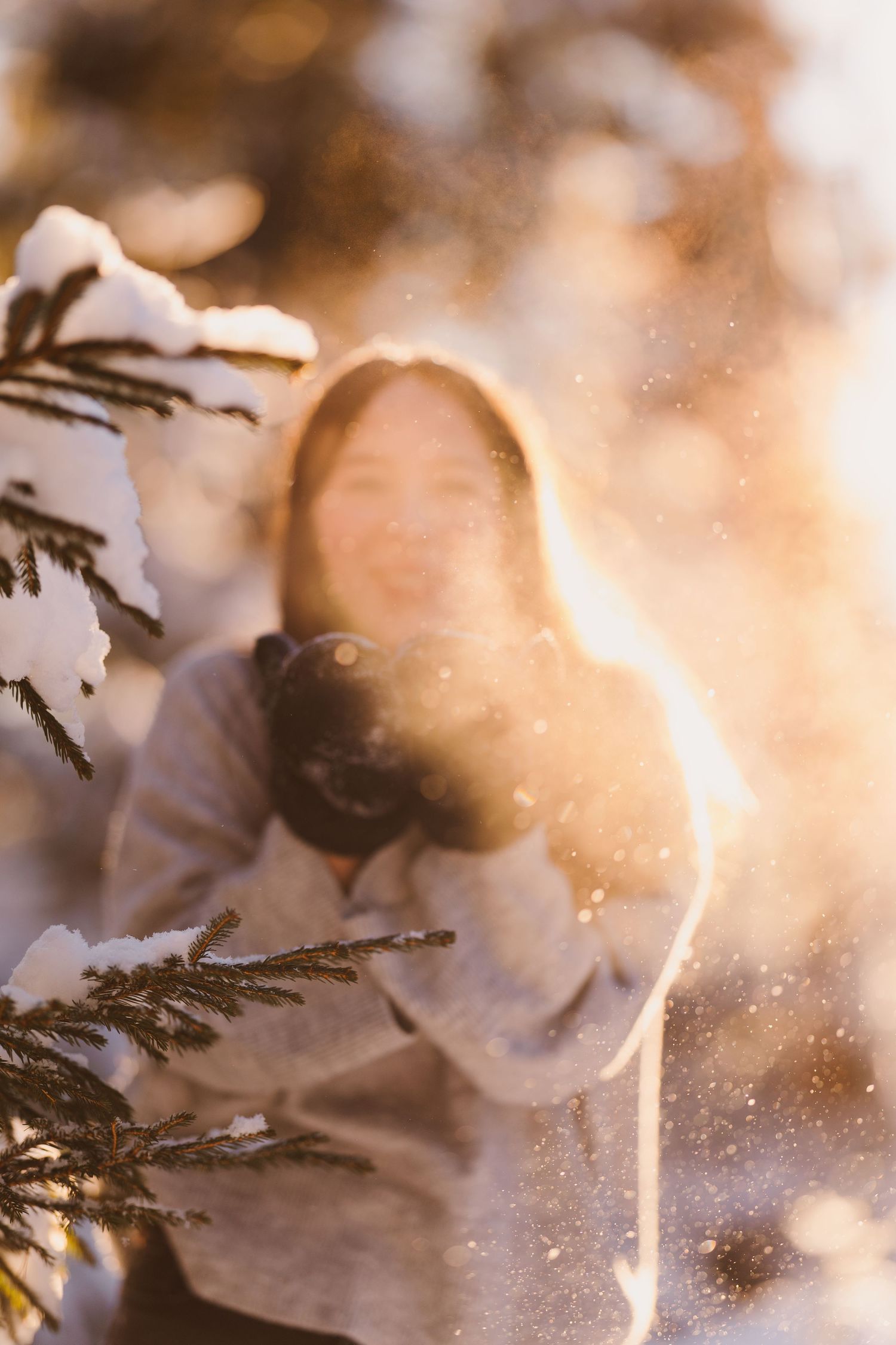 Close-up macro photograph of melting snow on pine needles with soft golden sunlight creating a dreamy winter atmosphere.