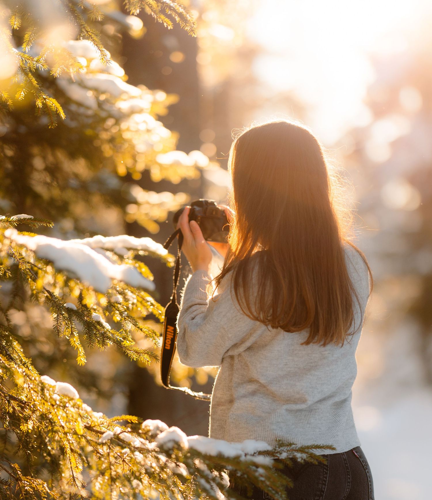 Person sitting in nature during golden hour with sunlight filtering through evergreen branches creating a warm glow.