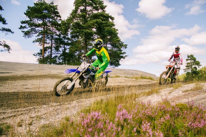 Dirt bike riders navigate a scenic hillside trail through tall grass and pine trees on a sunny day.