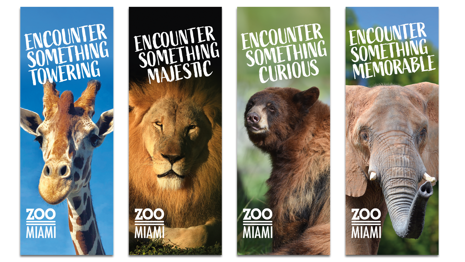Zoo Miami Pole Banners