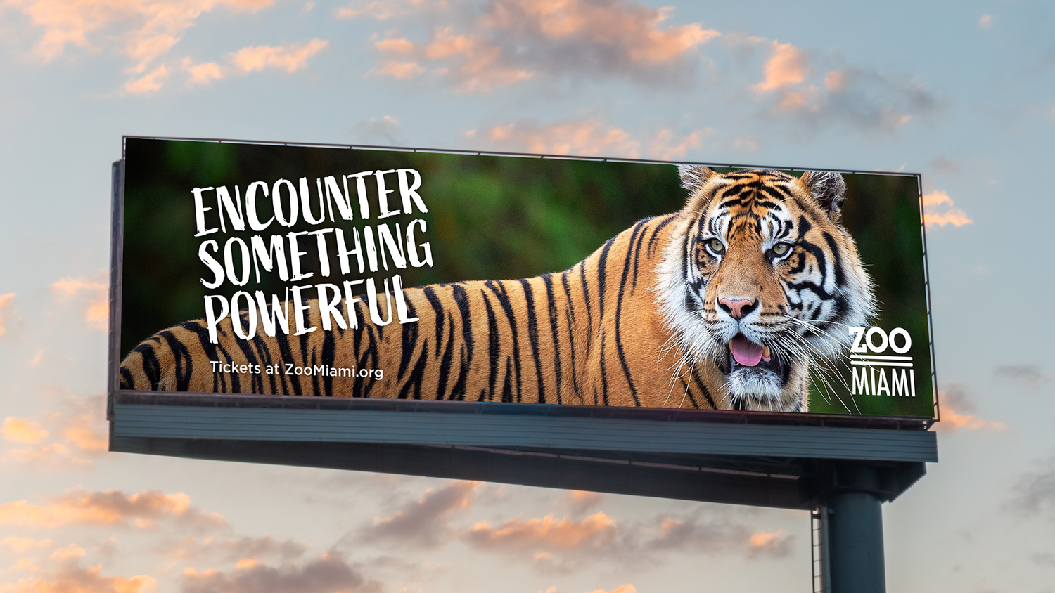 Zoo Miami Billboard