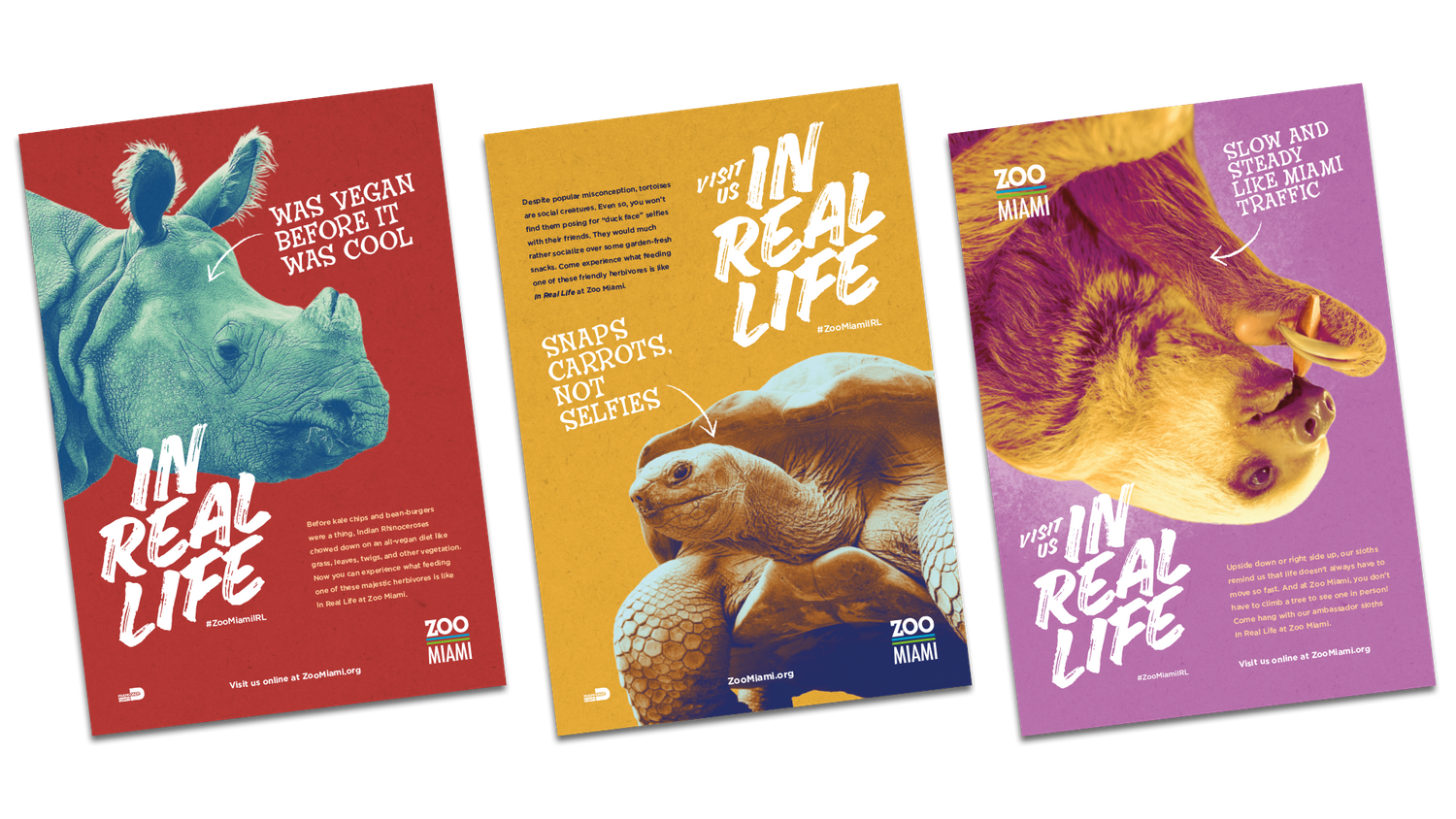 Zoo Miami Ad Campaign