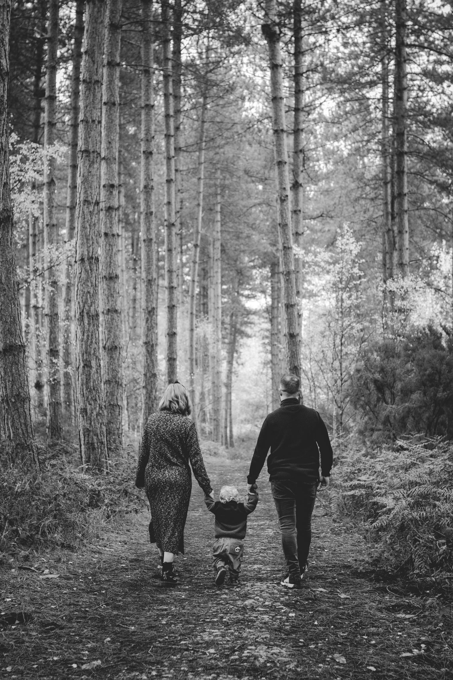 Three people walk together on a forest path surrounded by tall trees in a black and white nature scene.