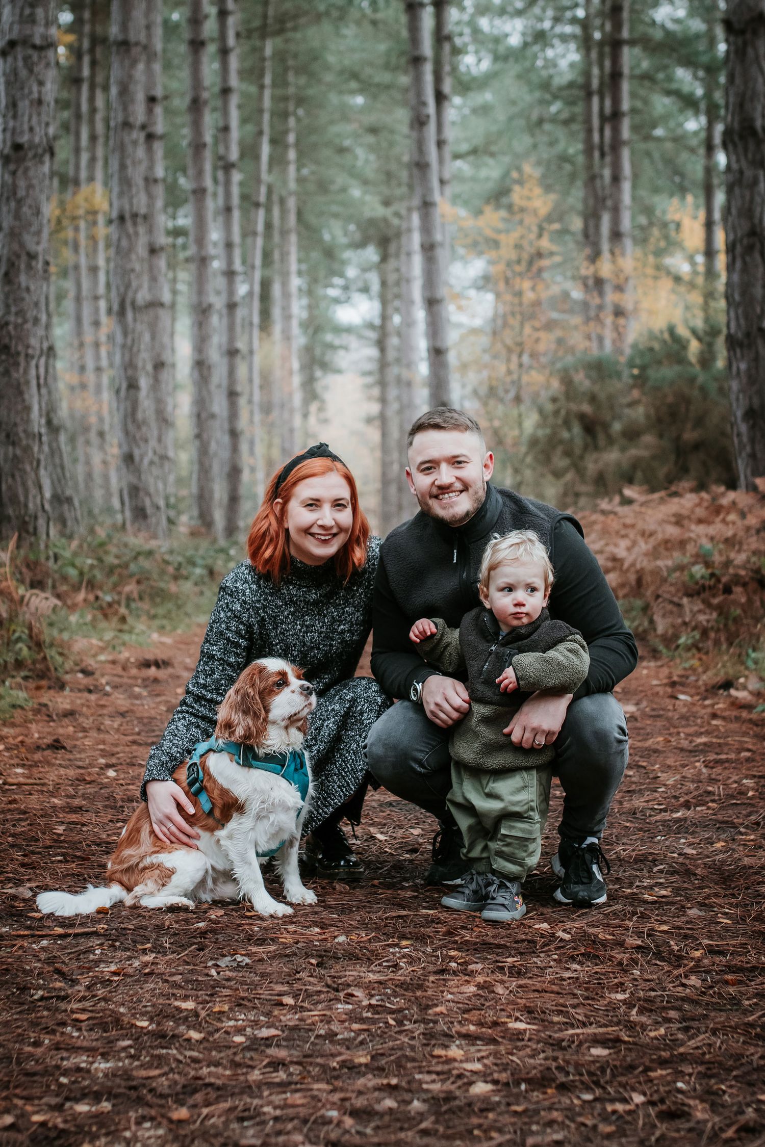 A family and their spaniel dog pose together on a forest path surrounded by tall pine trees in autumn.