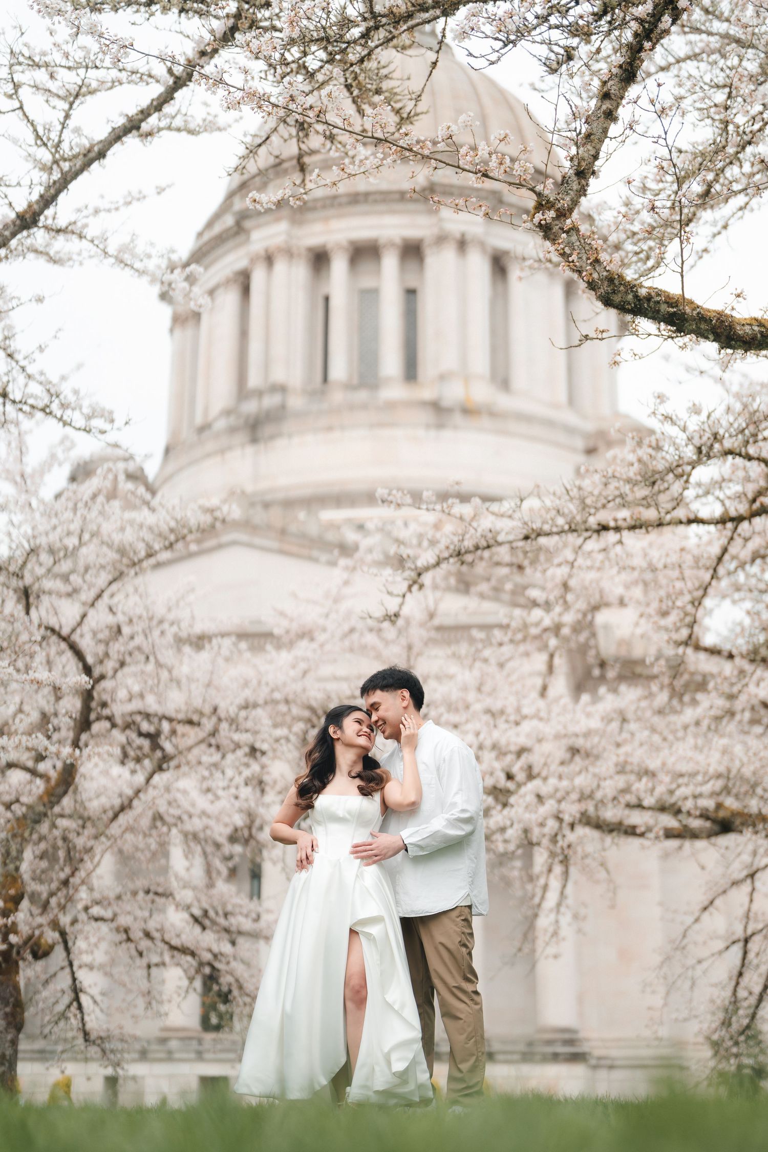A couple embraces near the Washington State Capitol building dome surrounded by blooming cherry blossoms in spring.