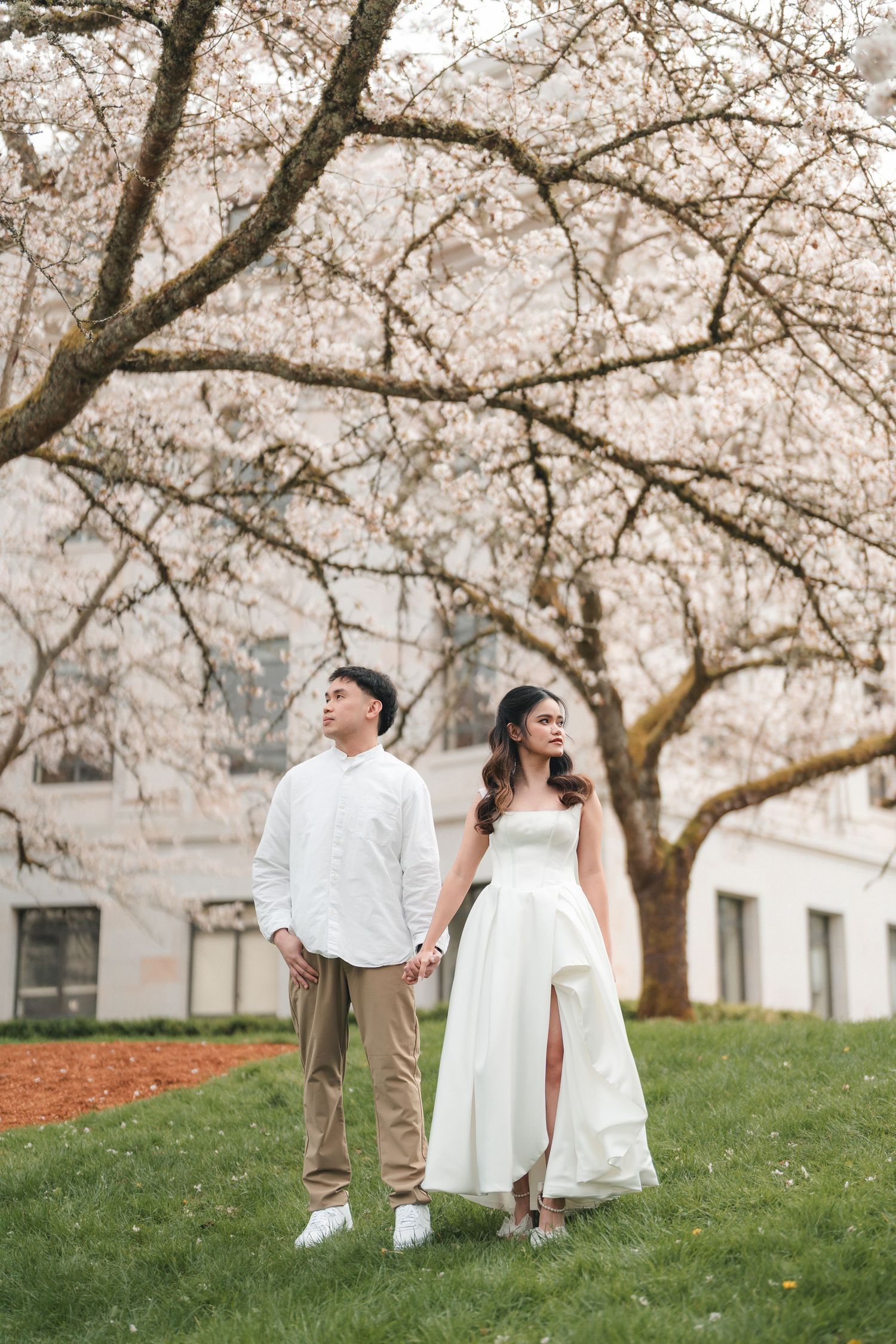 A couple stands holding hands under blooming cherry blossom trees on a grassy hill during spring.