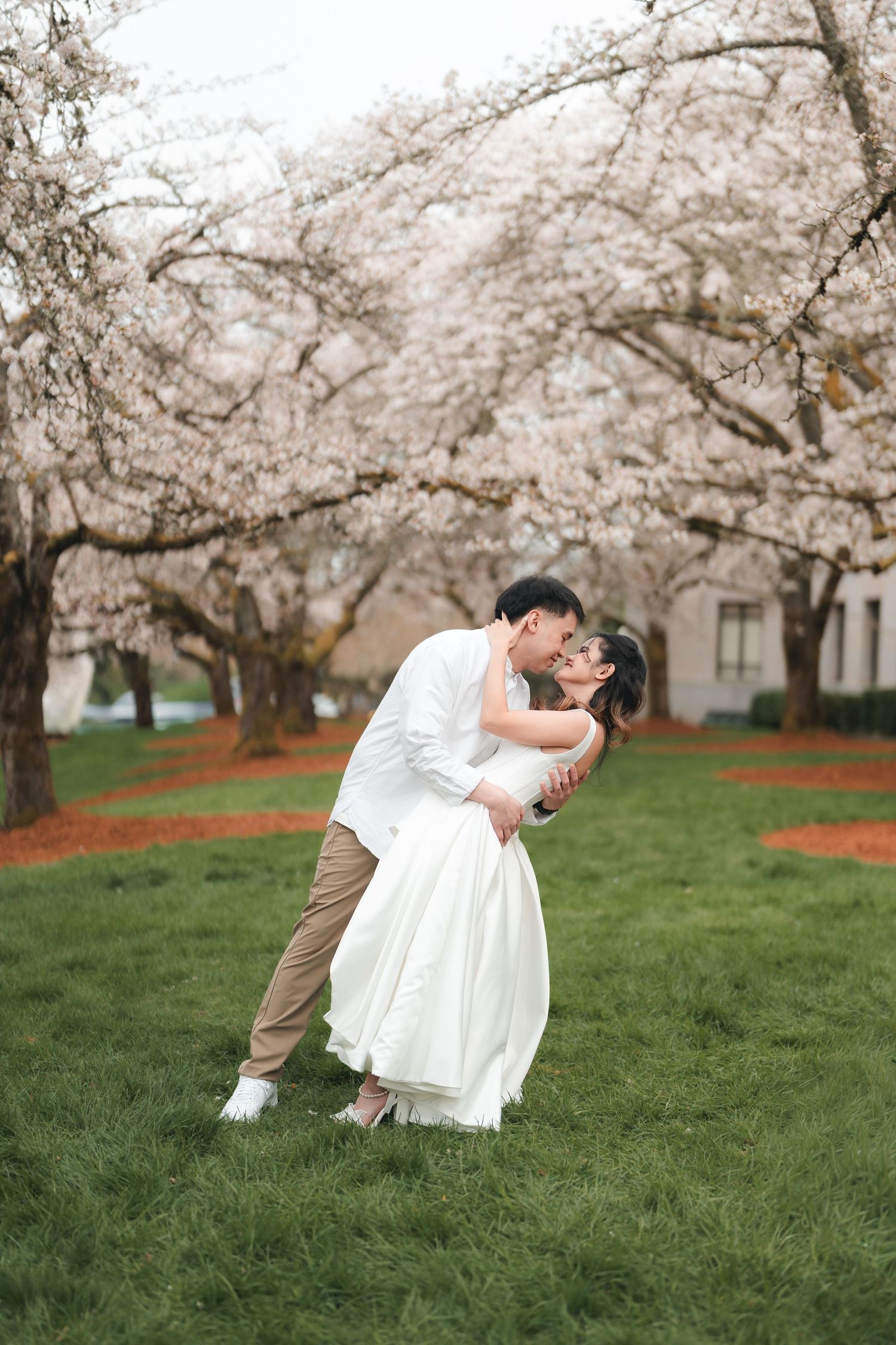 A romantic couple dips and embraces under blooming cherry blossom trees in a spring garden setting.